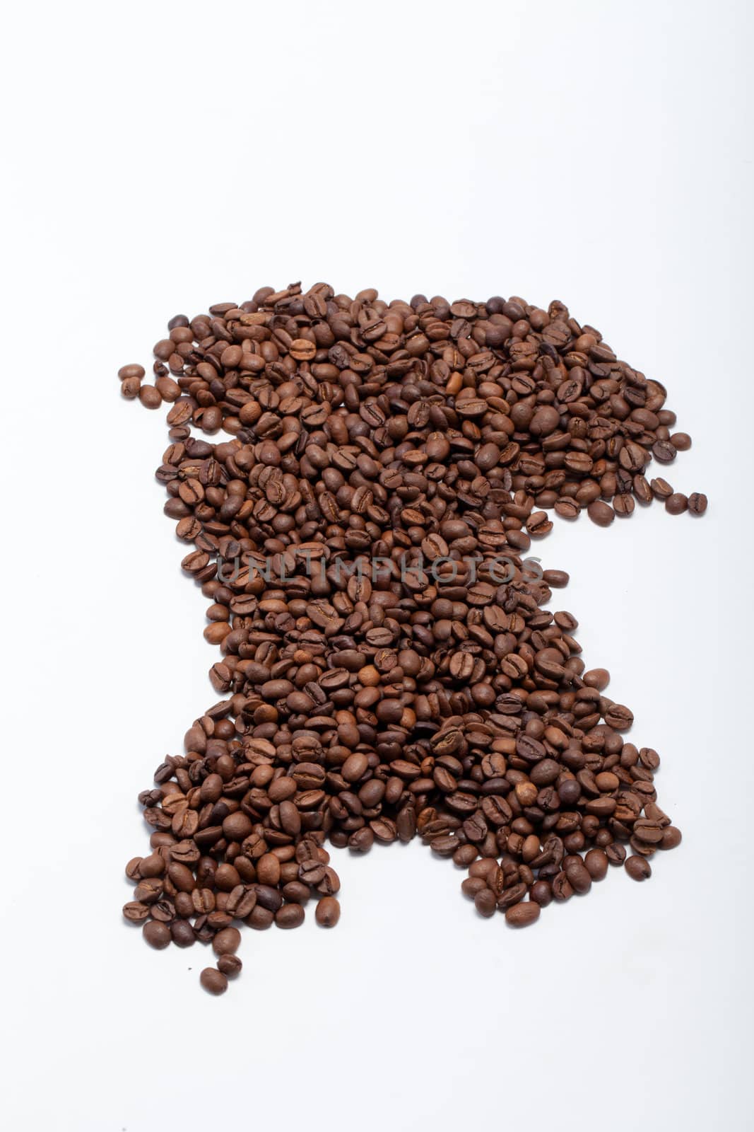 coffee beans close up isolated on white