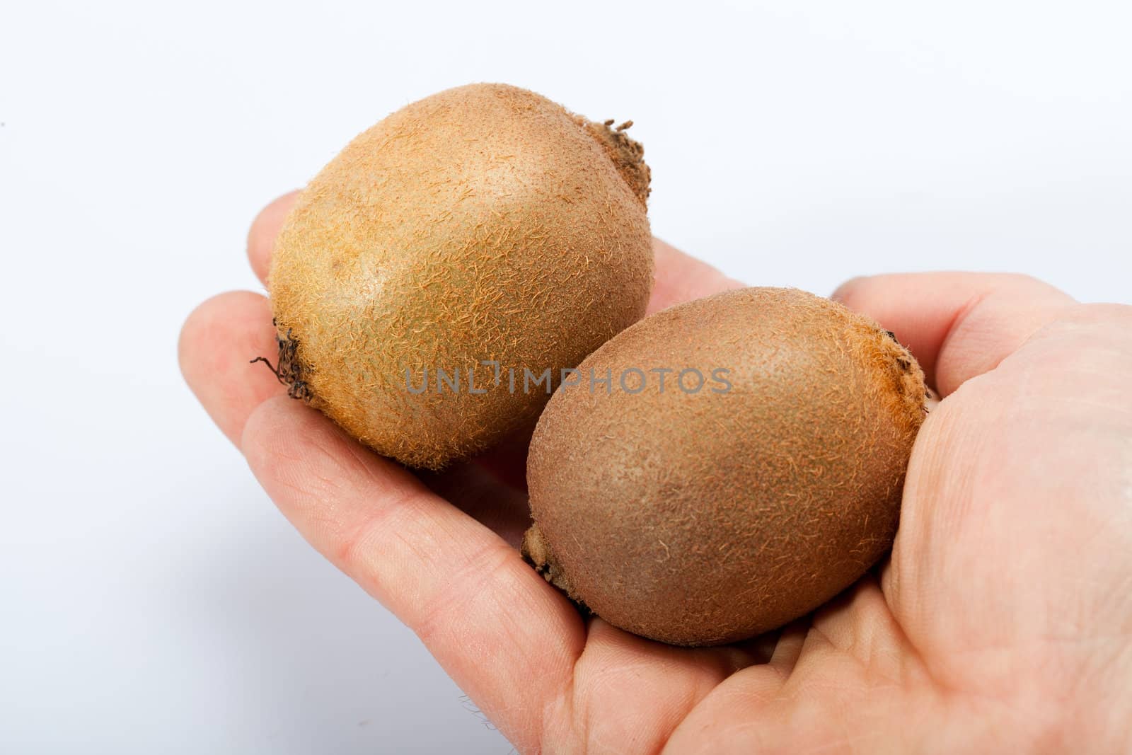 kiwi fruit isolated on white background 