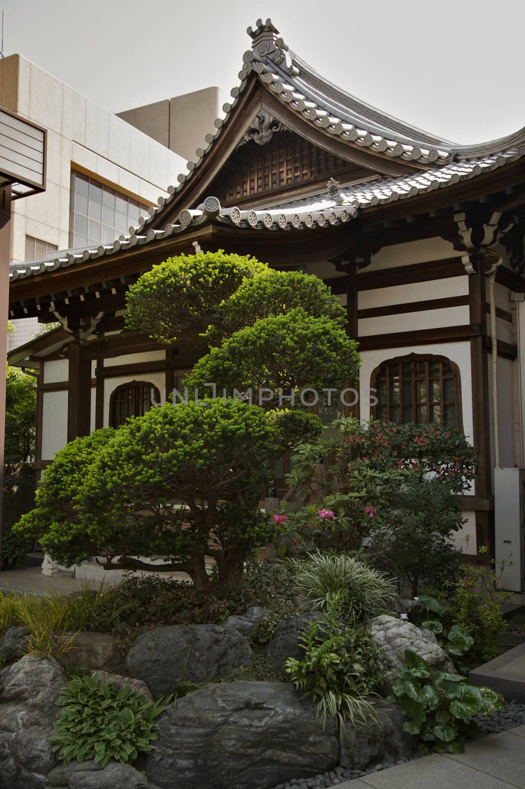 Japanese temple with a designered garden in Tokyo