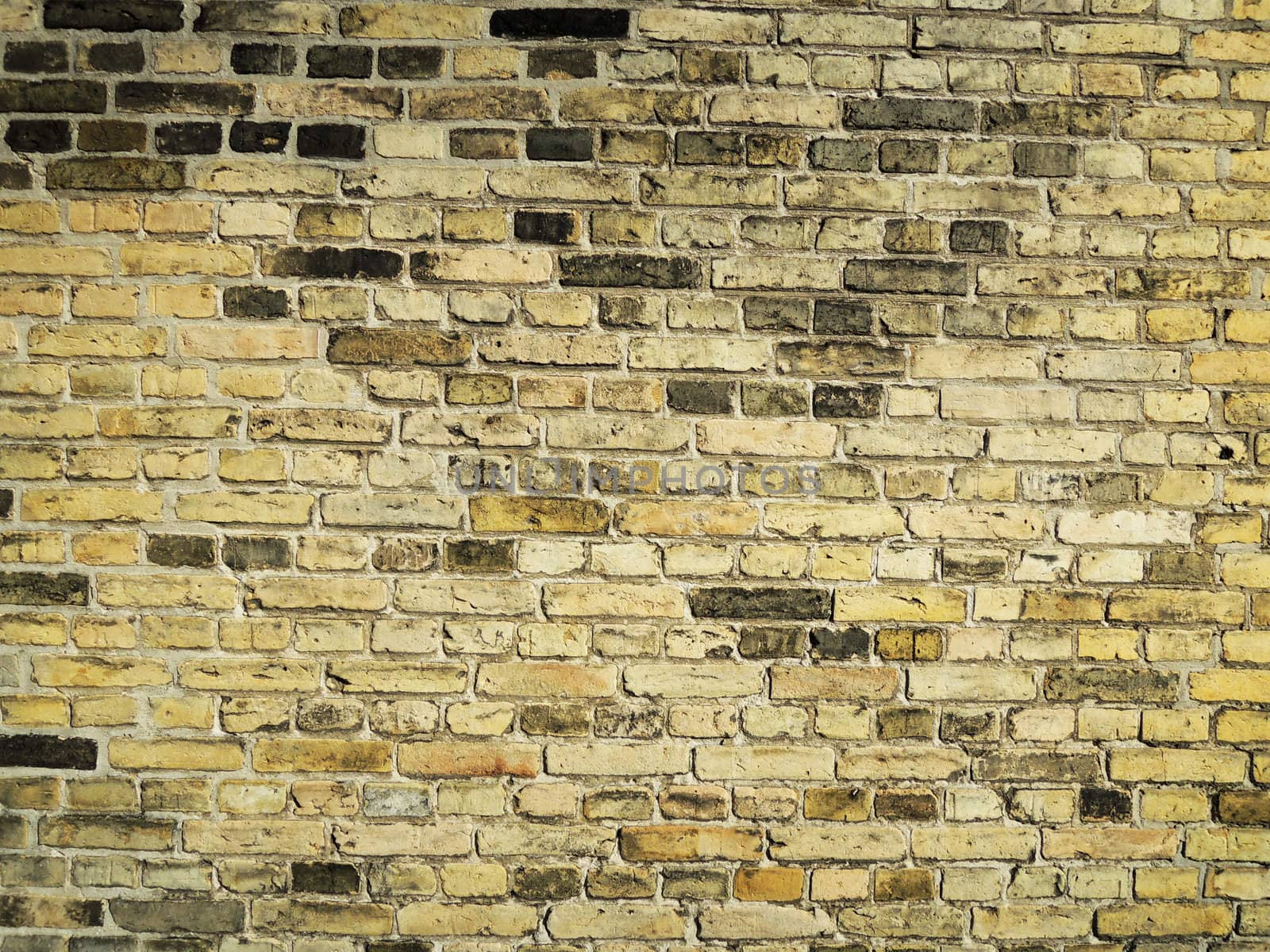 Dark yellow brick wall
