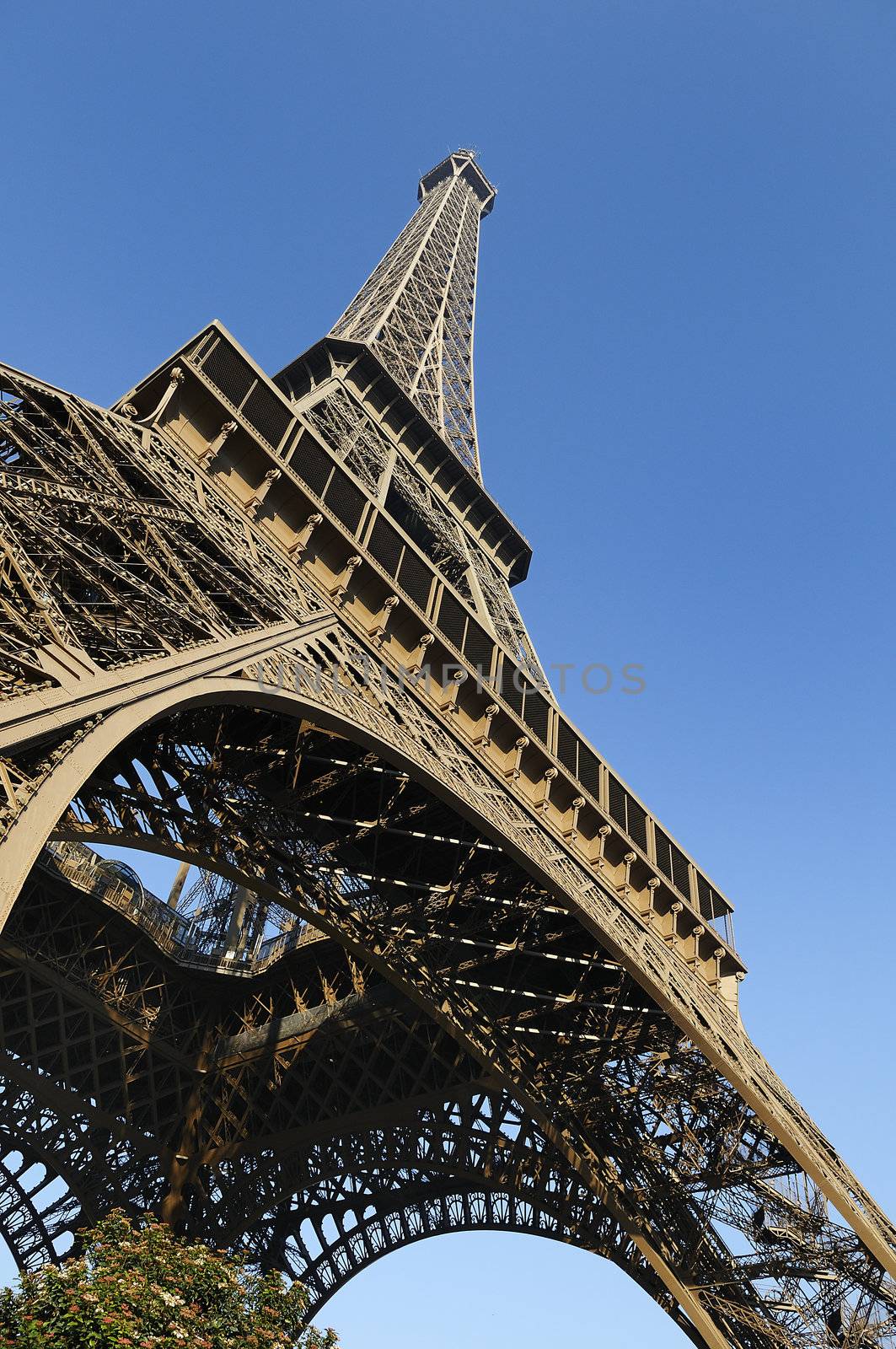 View at Eiffel Tower from the Champ de Mars (Field of Mars)