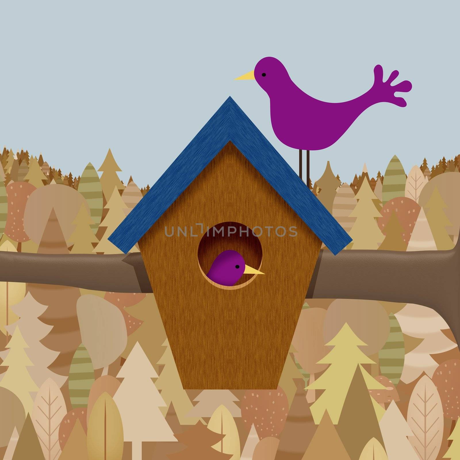 Illustration of a bird box with two birds and a forest background