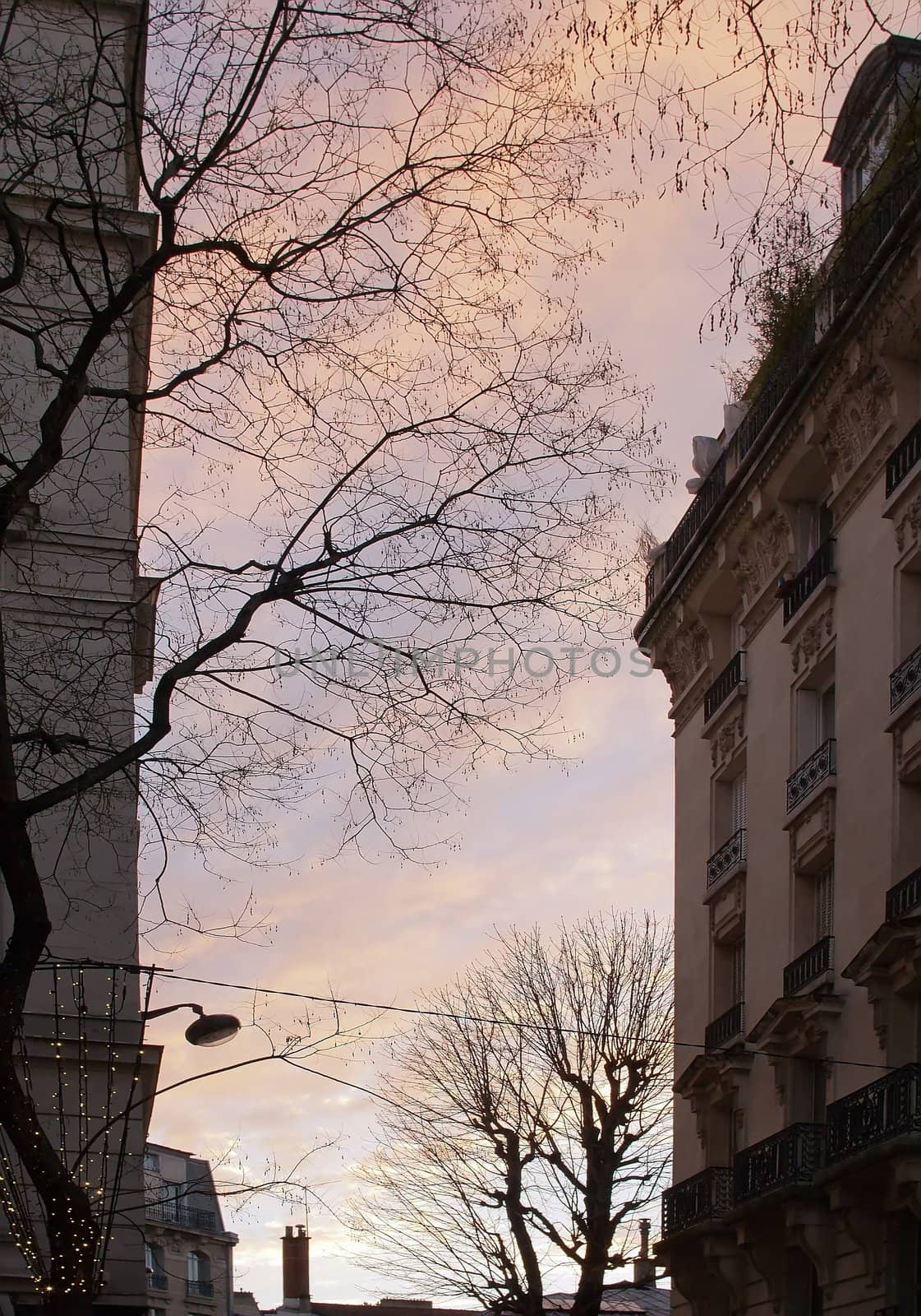 sunset in a Paris street in winter (France)