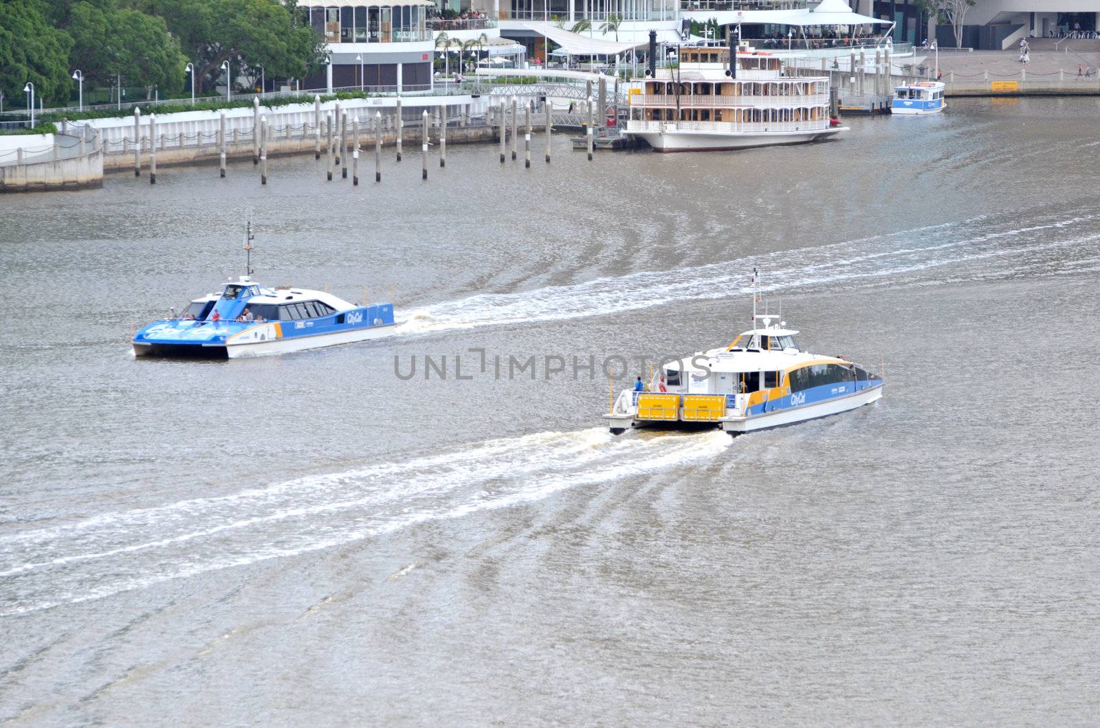 Passing Cats. Brisbane City Cat. Catamarans are a popular mode of public transport in Brisbane which is often referred to as the River City.