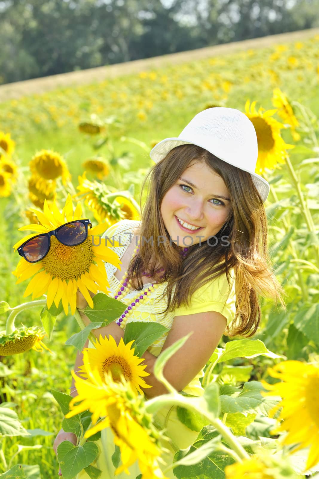 Young beautiful girl in a sunflower field