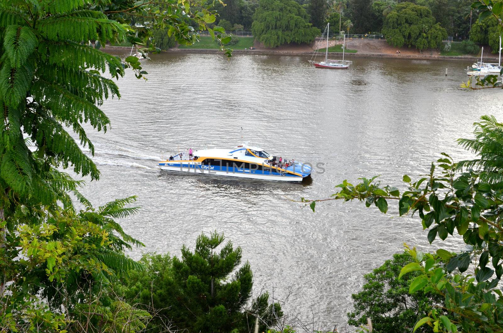 A Brisbane City catamaran framed in the foreground by trees growing on the south bank of the Brisbane river and to  the rear by the Brisbane Botanic Gardens
