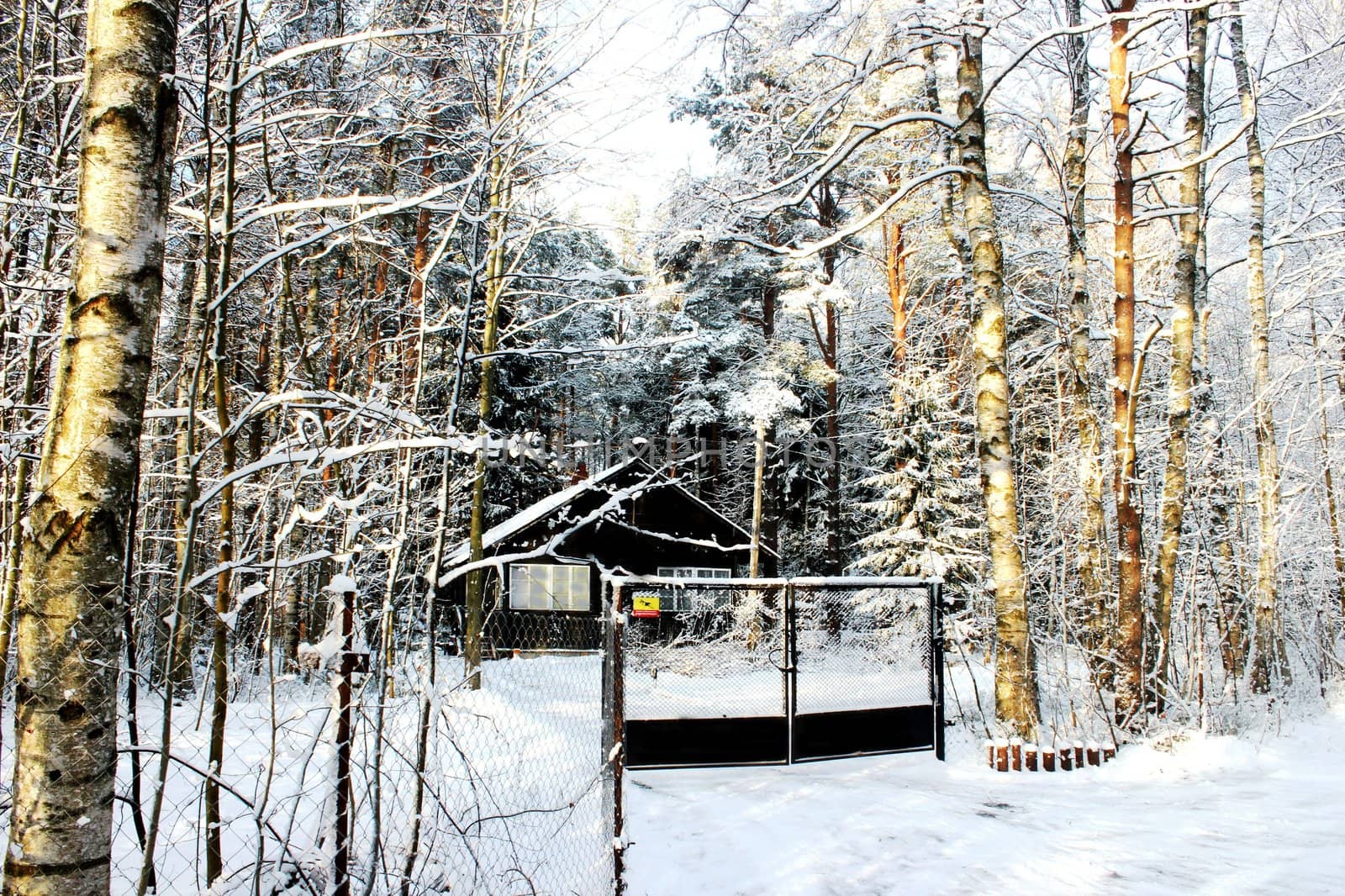 beautifull winter view of house in forest by Metanna