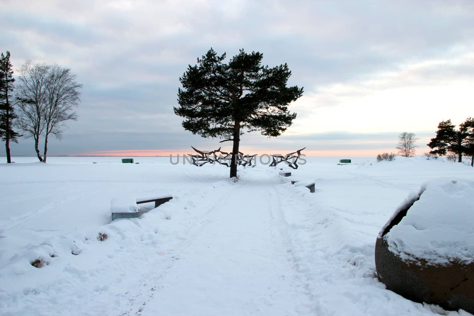 Winter landscape of a beach. One tree in the center. A lot of snow/