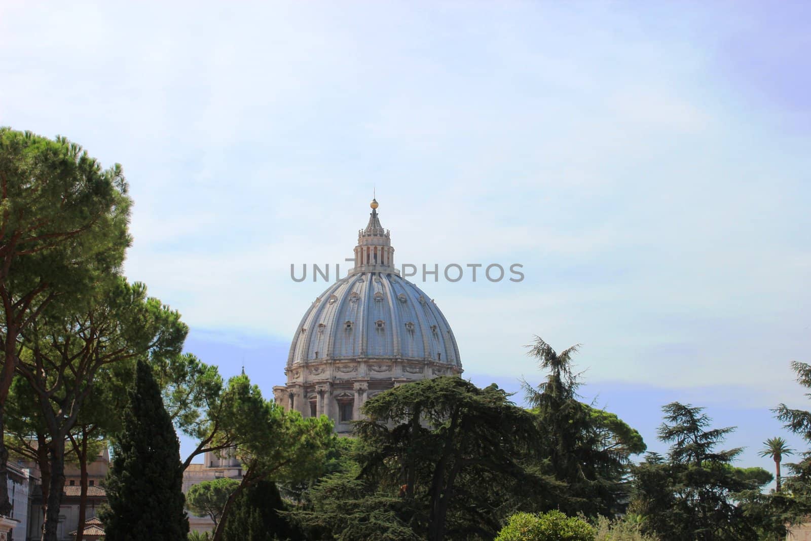 The dome of the Vatican.View through the green.