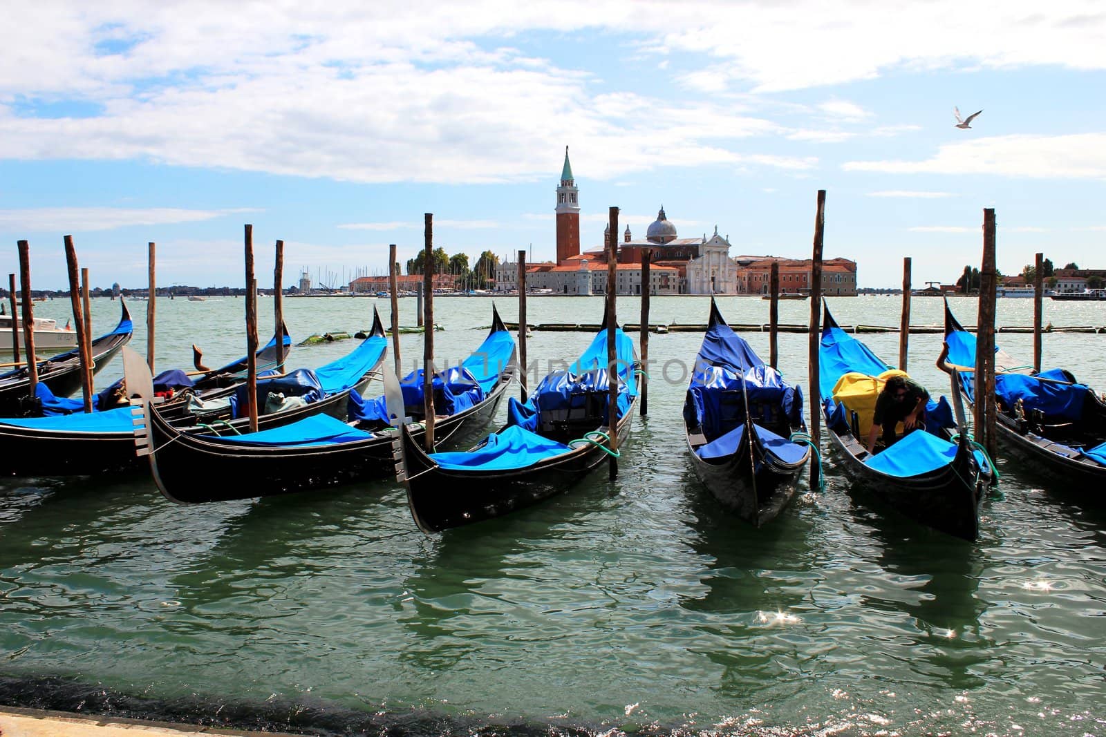 beautifull view of the drifting gondolas in Venice