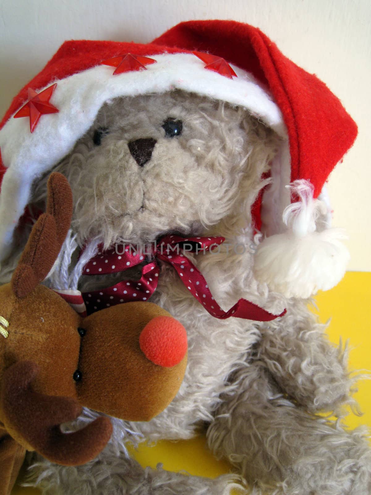 bear wear a Santa hat and his red nose reindeer