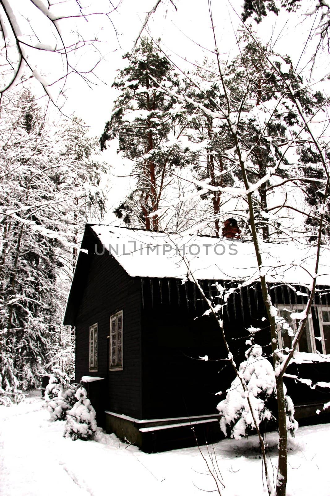 Winter  house with icicles in the woods by Metanna