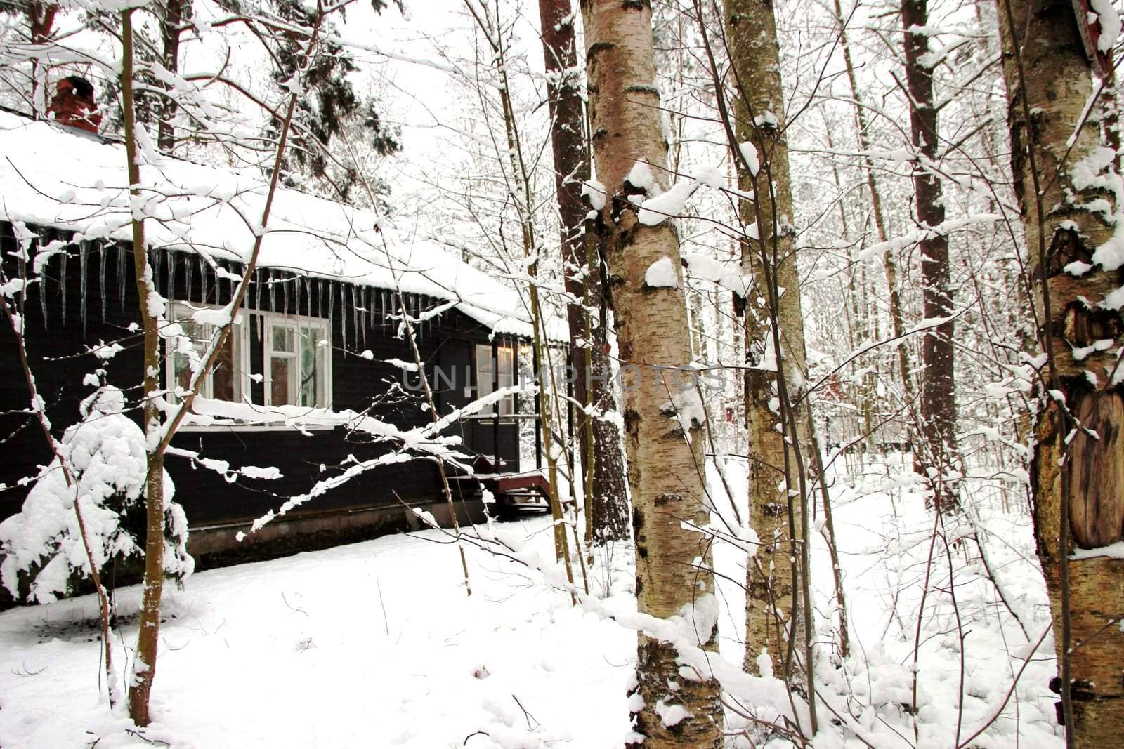 Winter landscape house with icicles in the woods