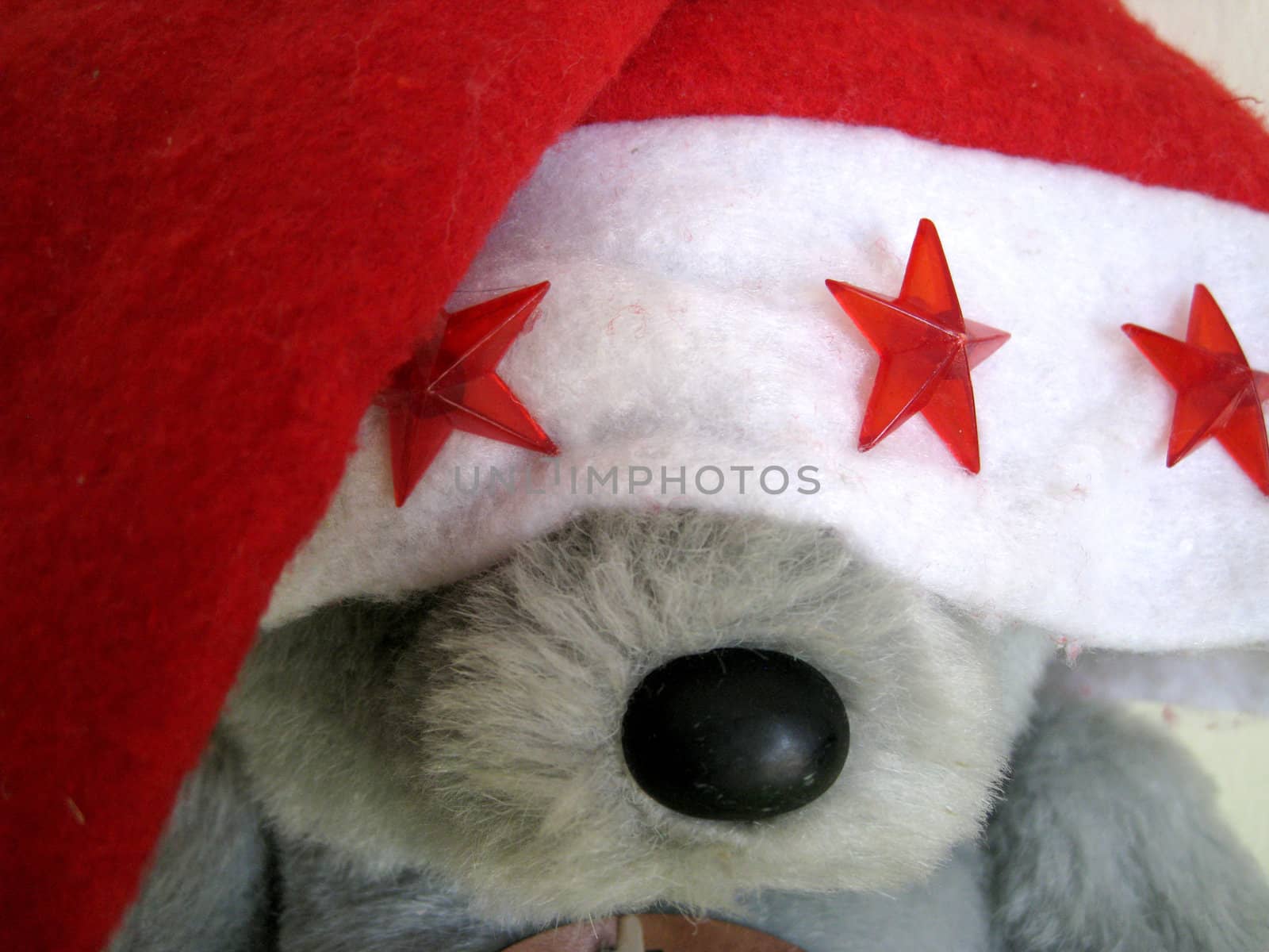 a bear cover it's eye with a Santa hat.