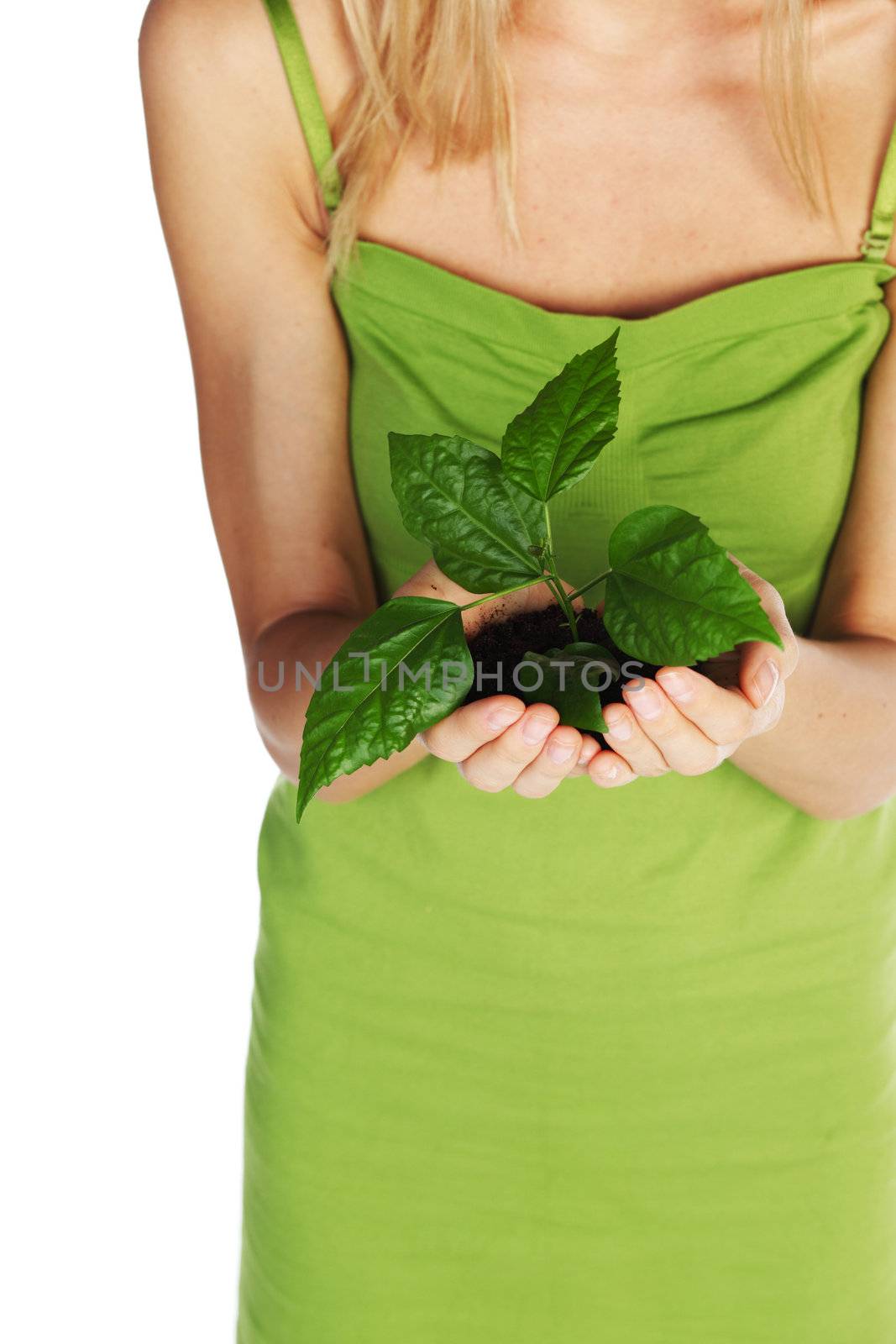 plant in the women hands 