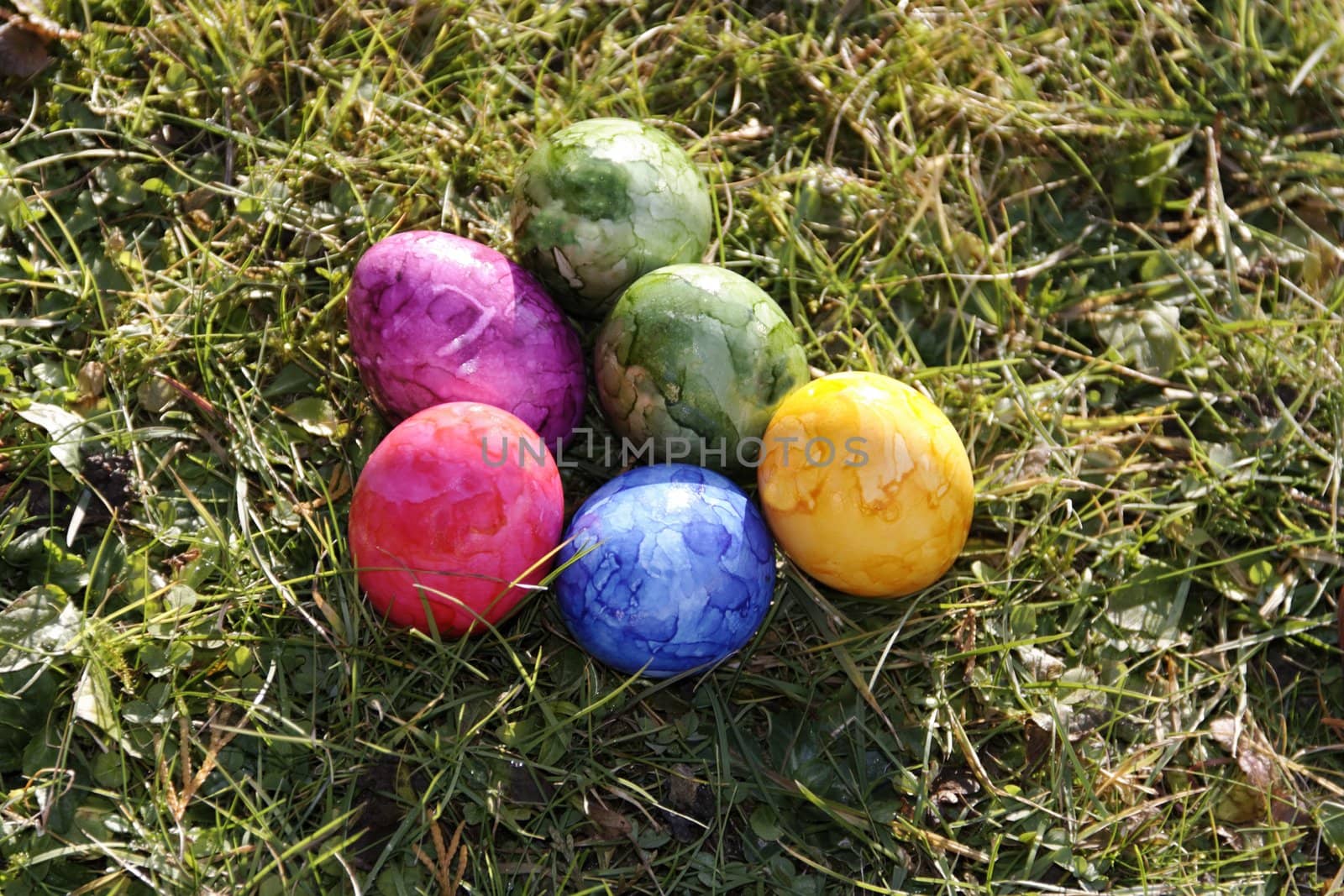 six easter eggs on the grass