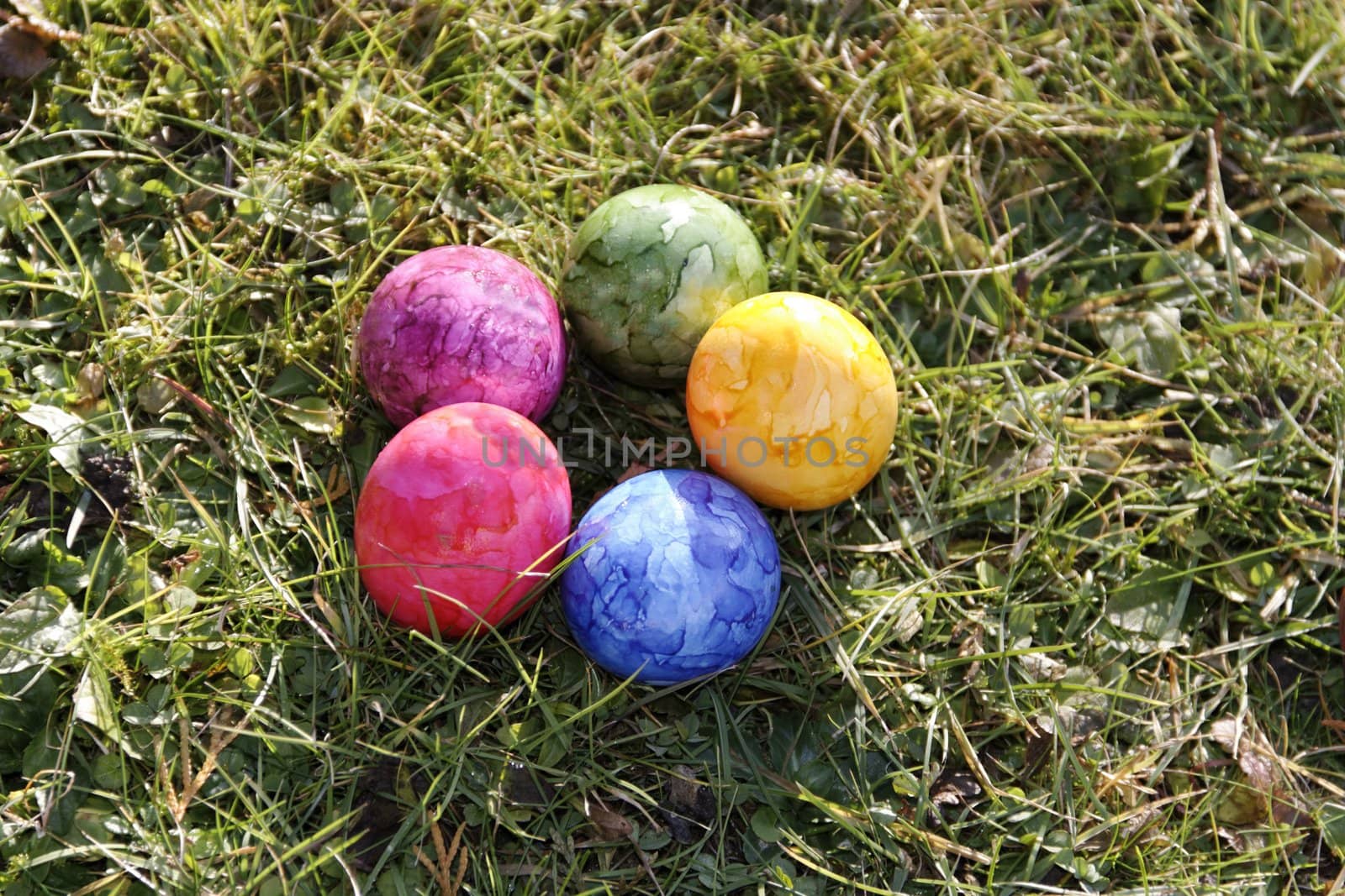 group of easter eggs on the grass