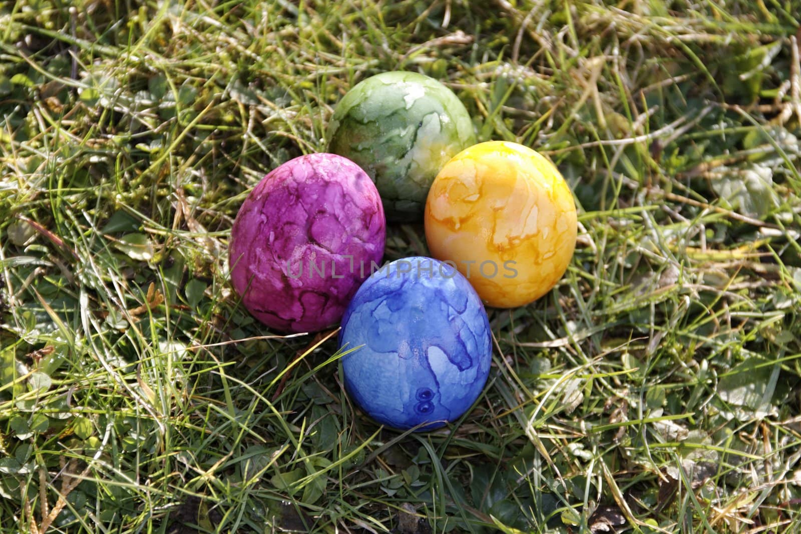 group of easter eggs on the grass