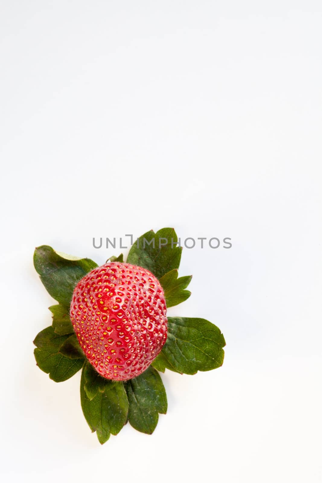 Red strawberry surrounded by green leaves isolated on white.
