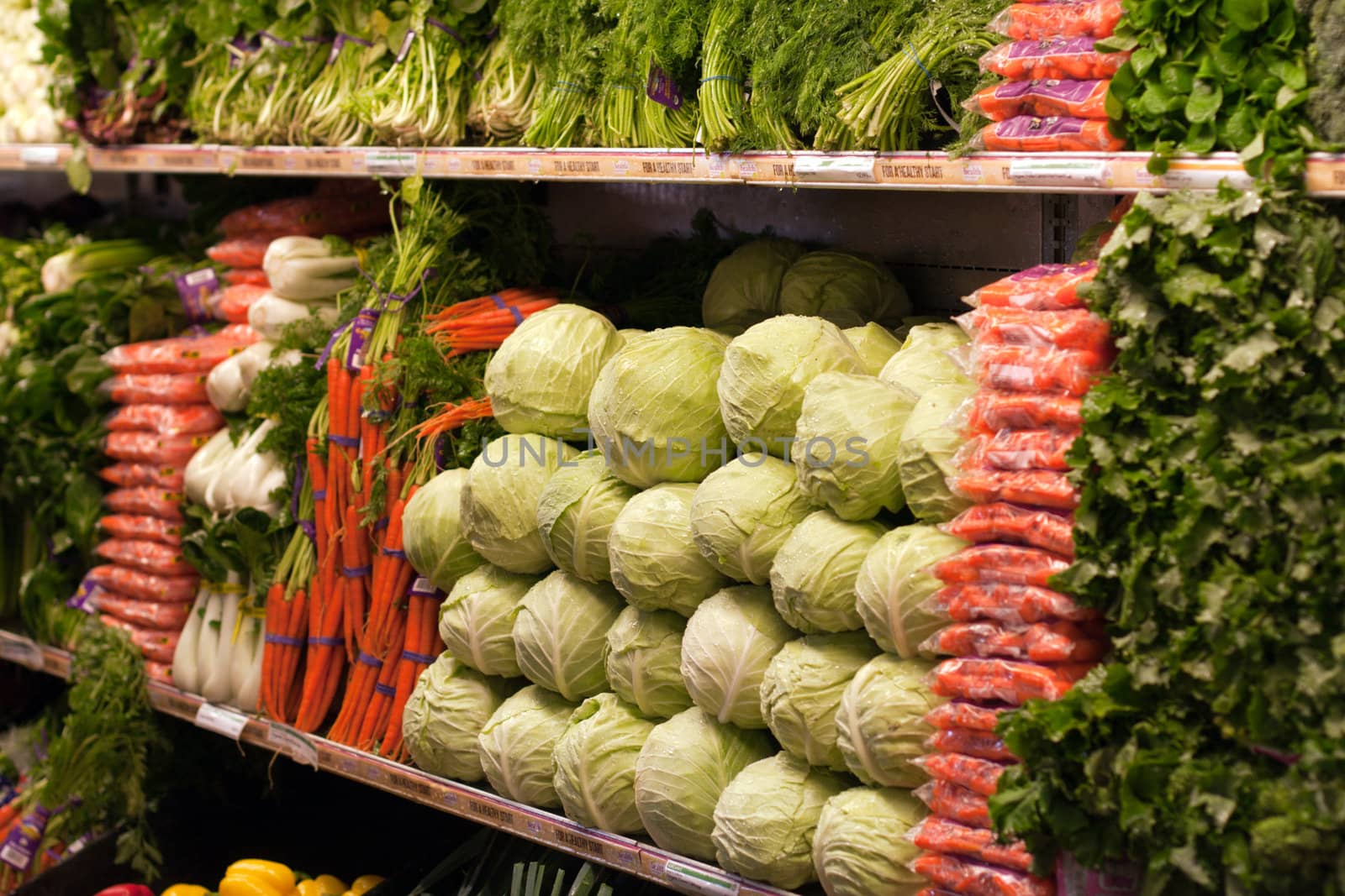 Cabbage and carrots on grocery stor shelf