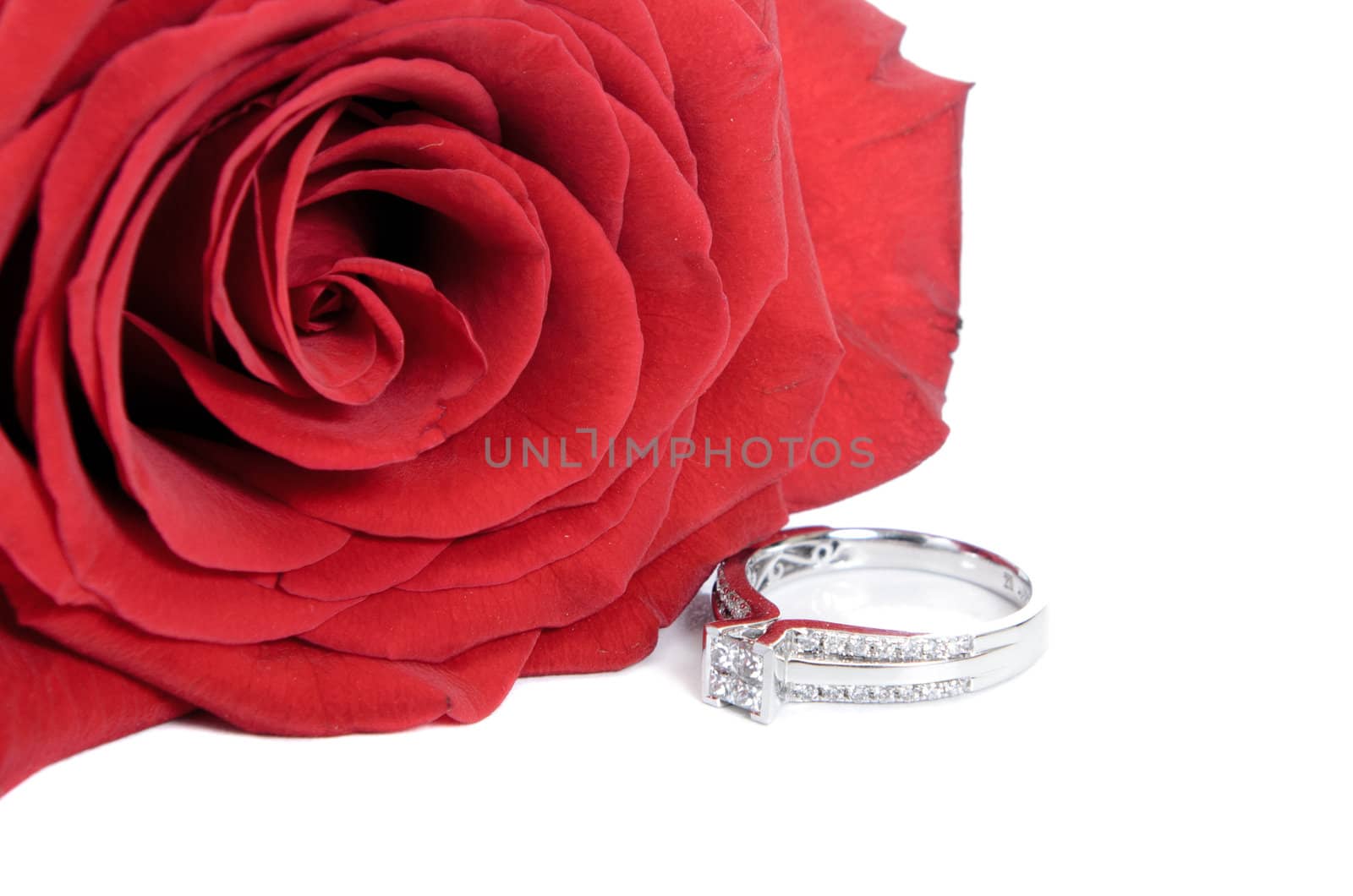 Diamond engagement ring and a red rose, isolated on a white background.