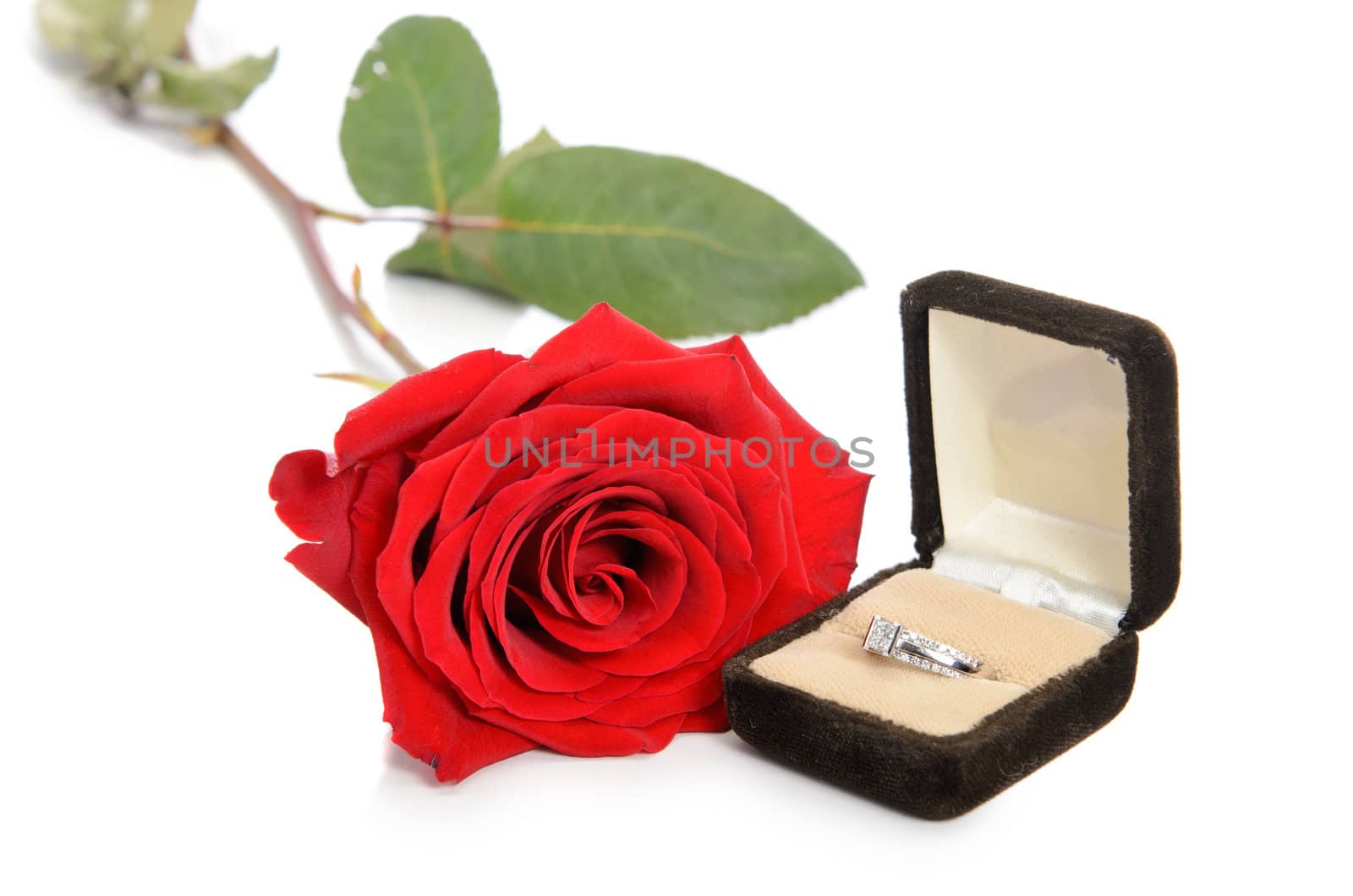 A diamond engagement ring in a jewellery box, shot next to a red rose, isolated against a white background.