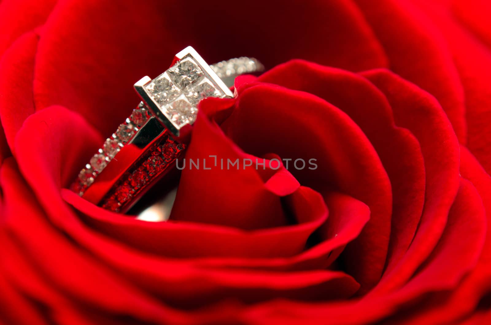 Macro view of a diamond engagement ring in a red rose