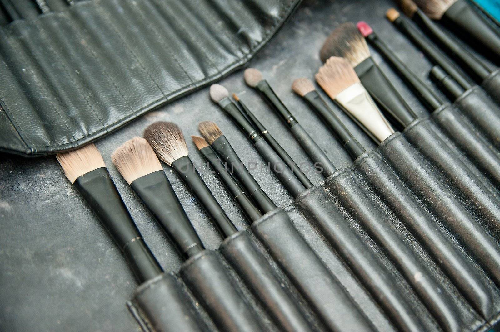 Set of make-up brushes in a tool bag