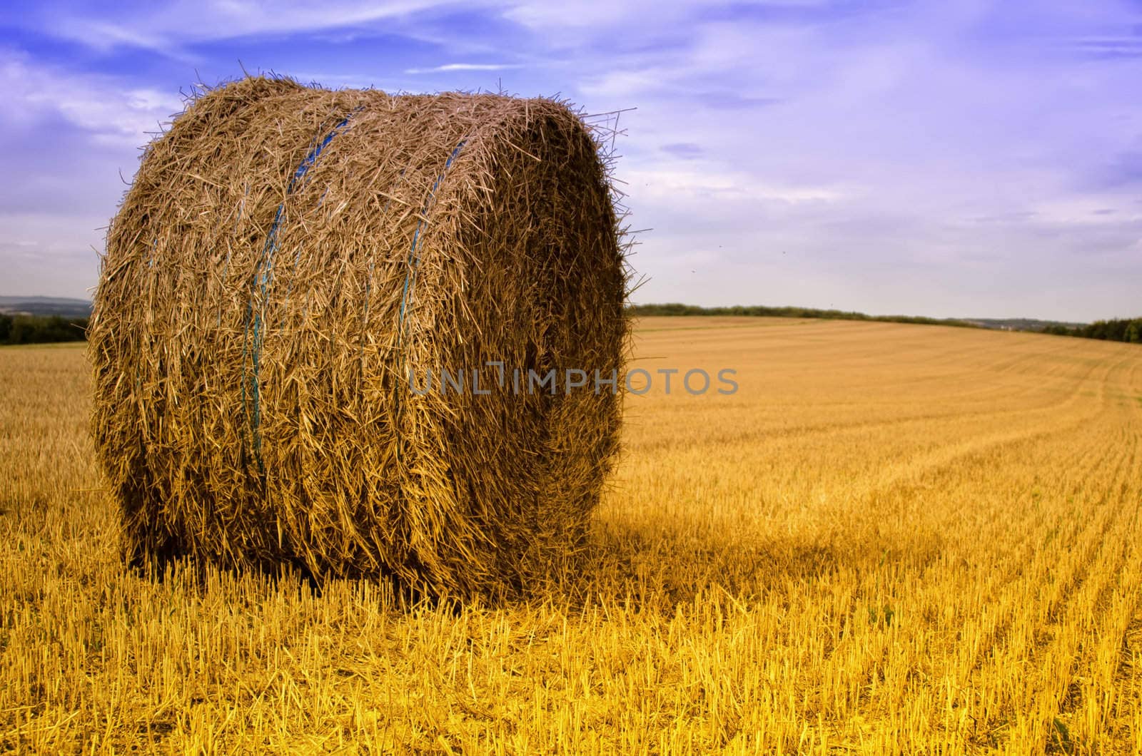 the straw ball