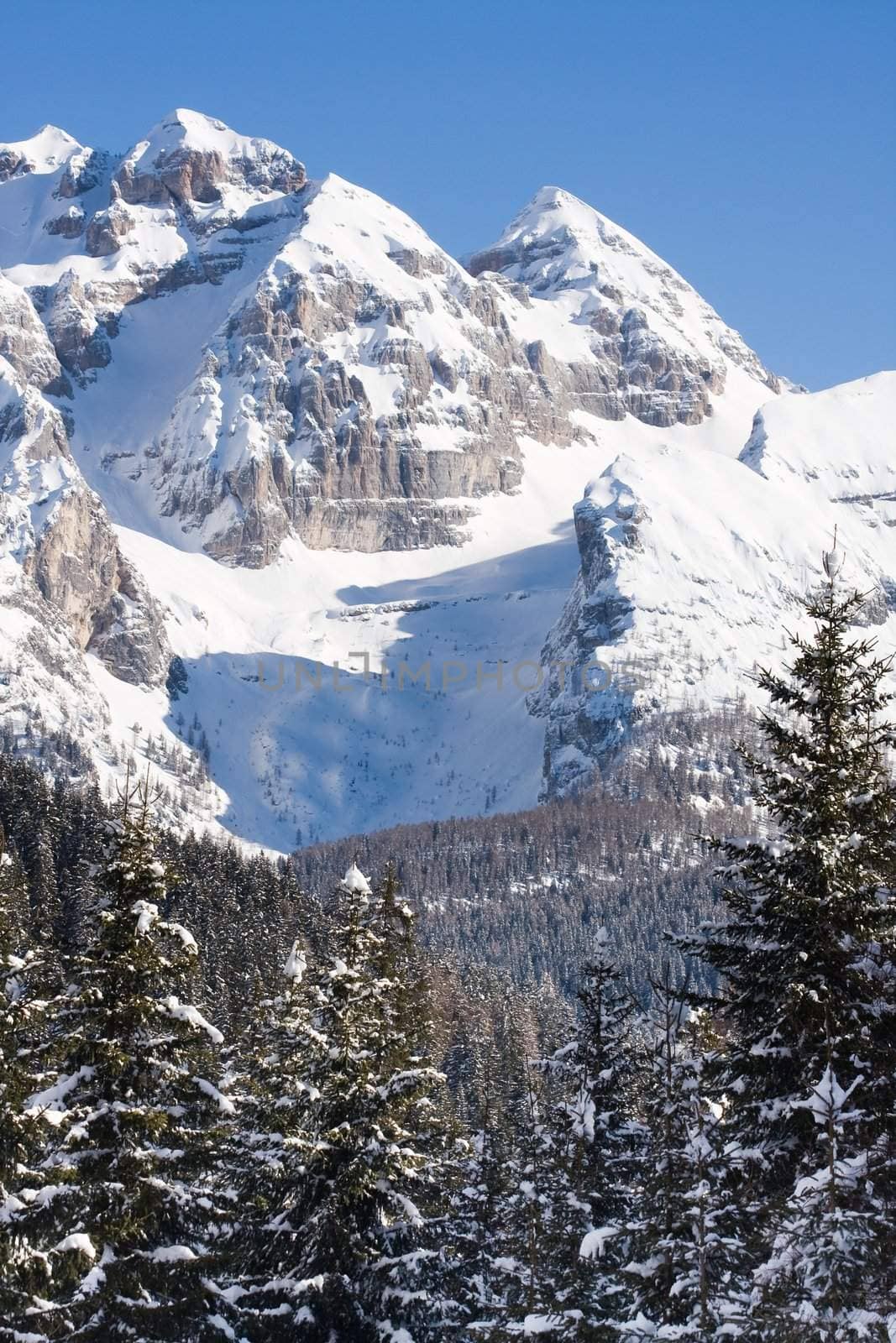 Ski resort Madonna di Campiglio. Italy