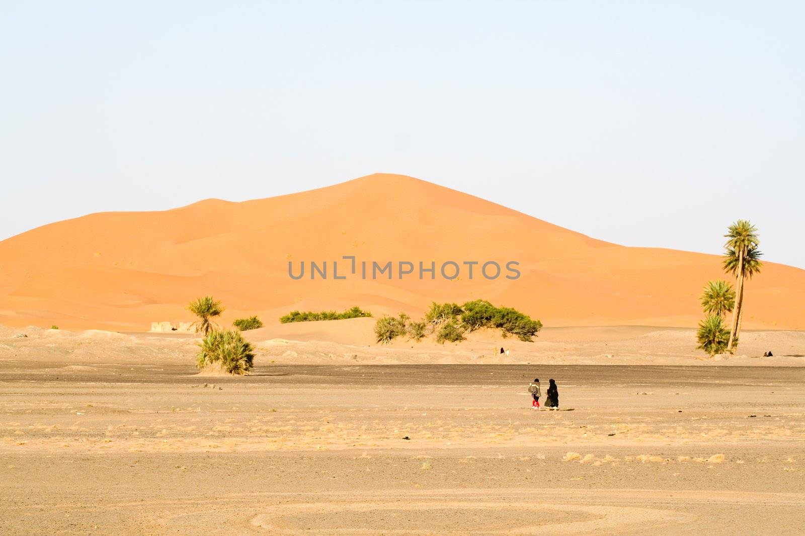 Moroccan desert dunes landscape