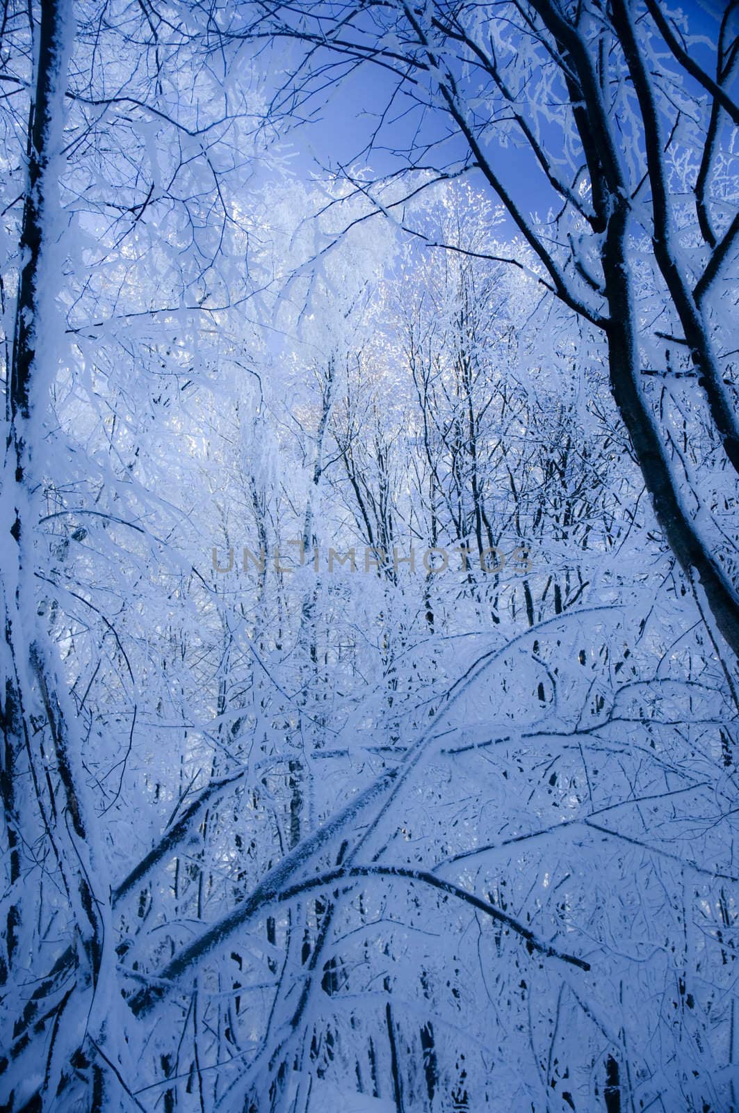 winter in Poland