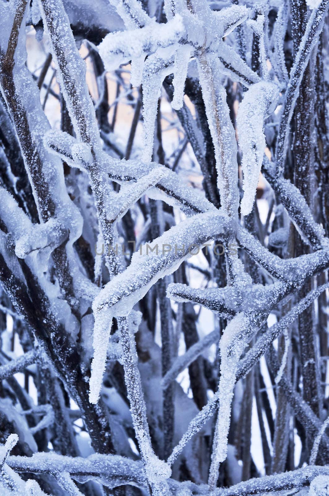 frosty winter in Poland