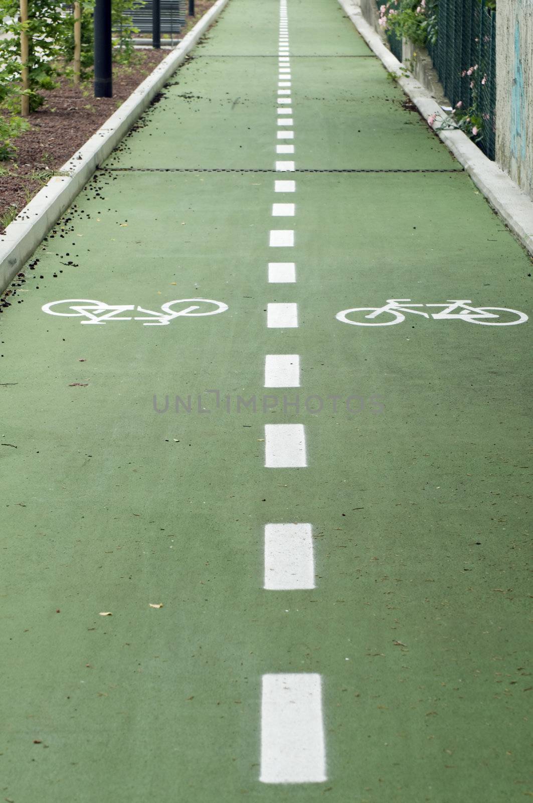 Bike road with two lanes diveded by dotted line