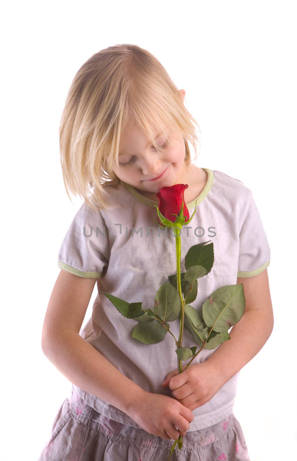 Child smelling red rose against a white background