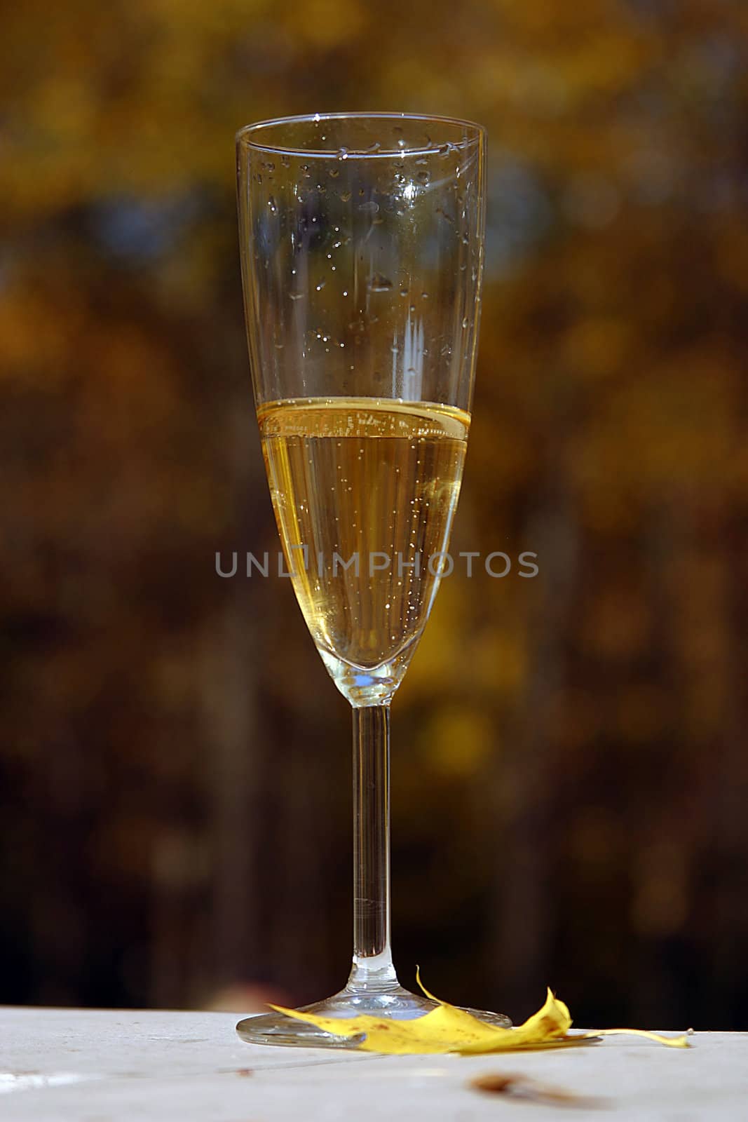 Glass with champagne on a stone table