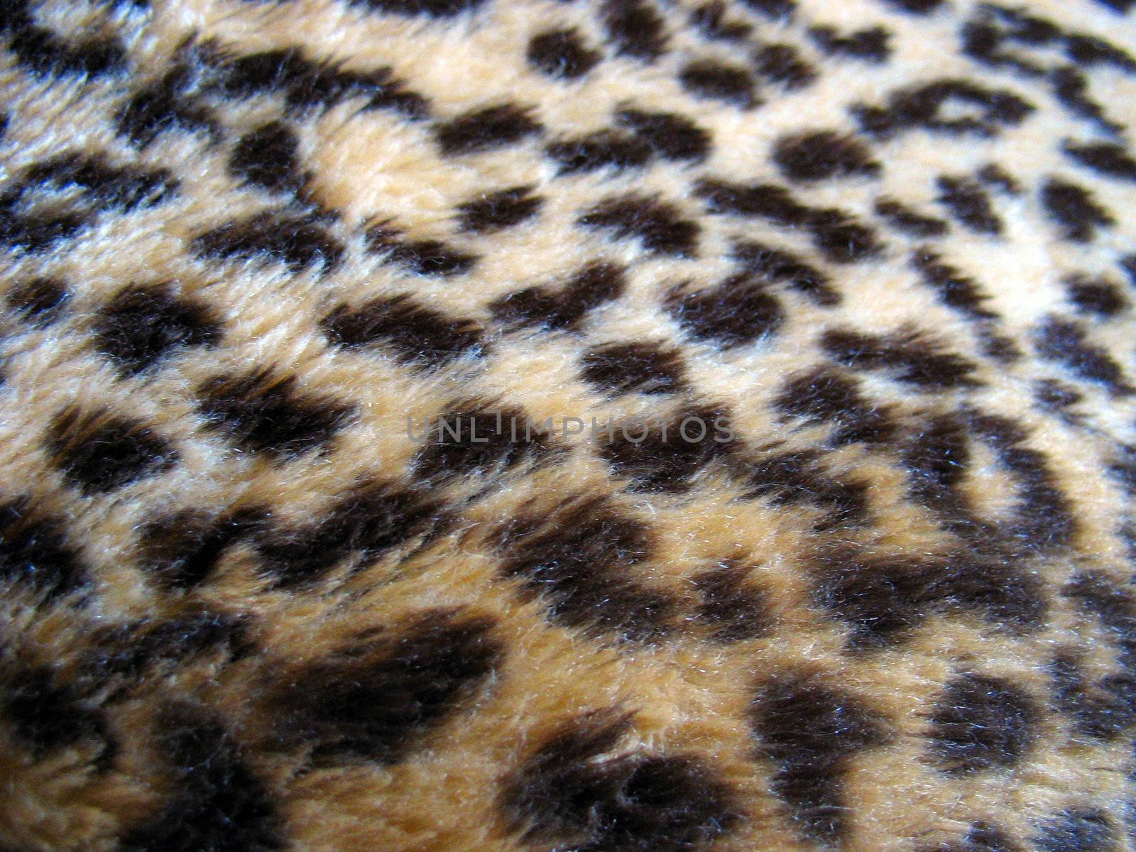 leopard print fur texture