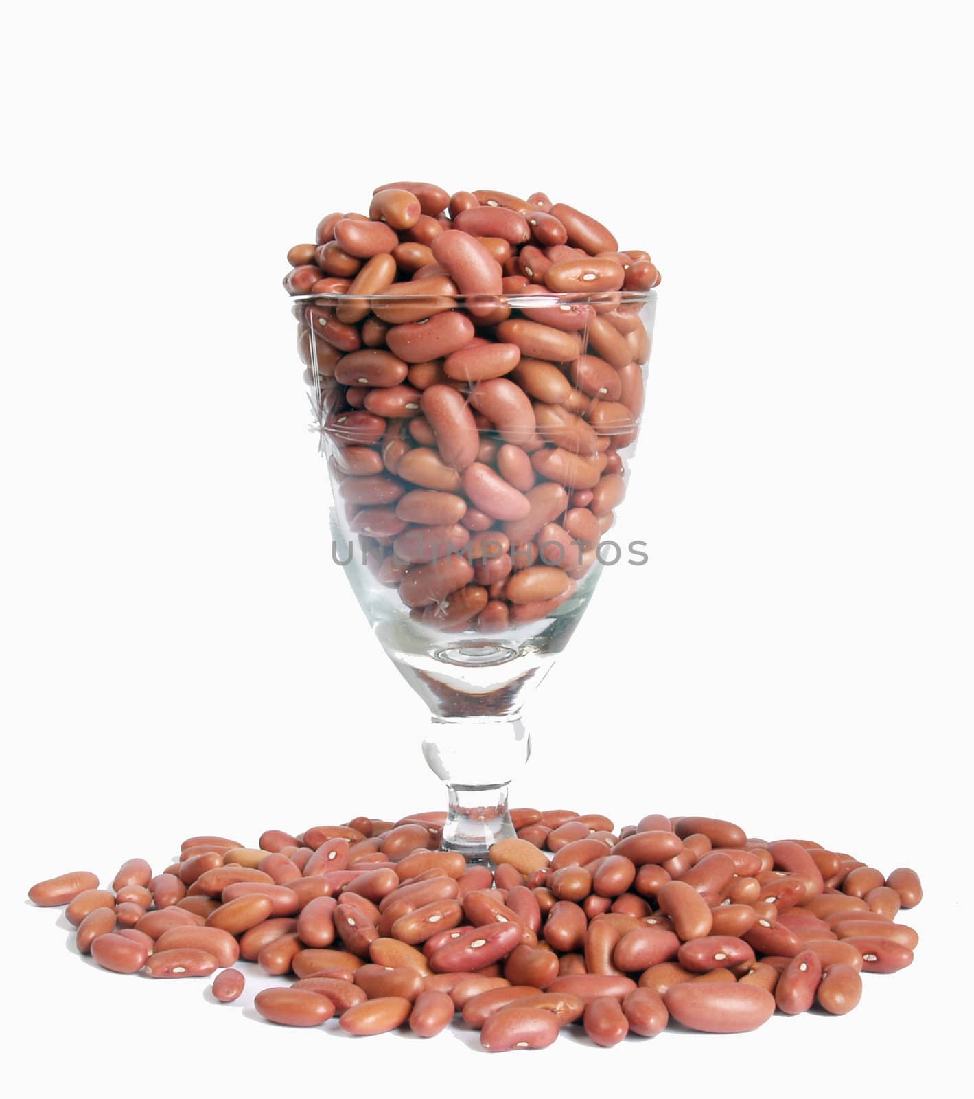 beans by lauria