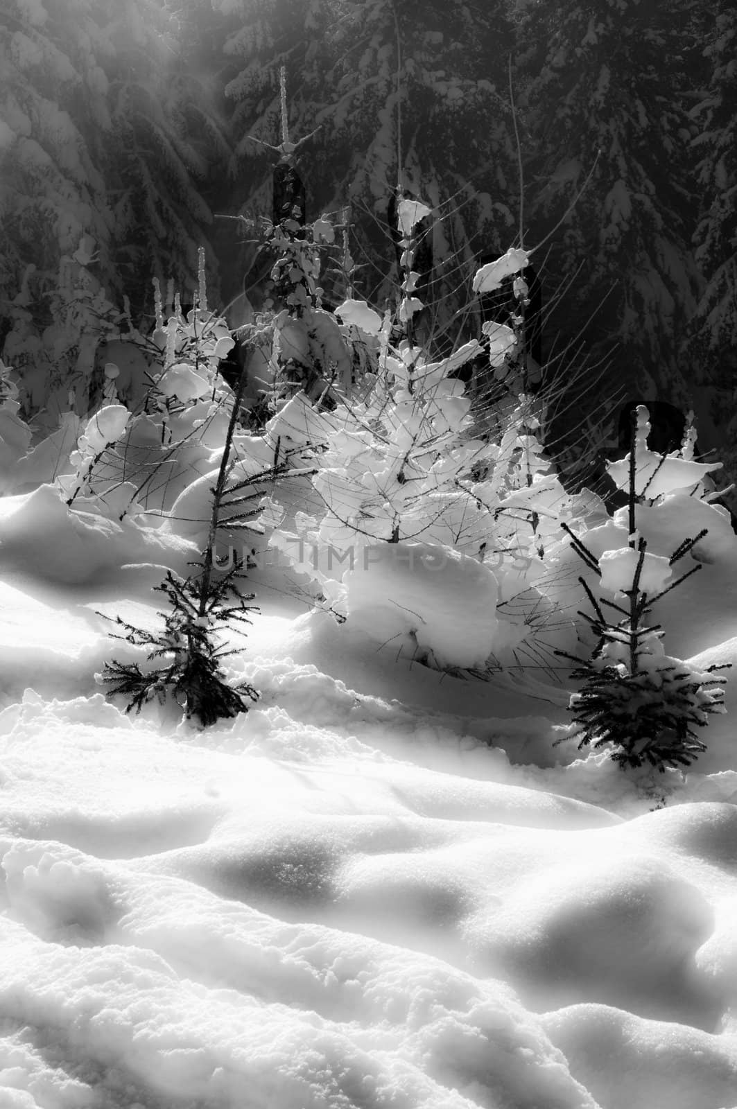 snowy winter in Poland