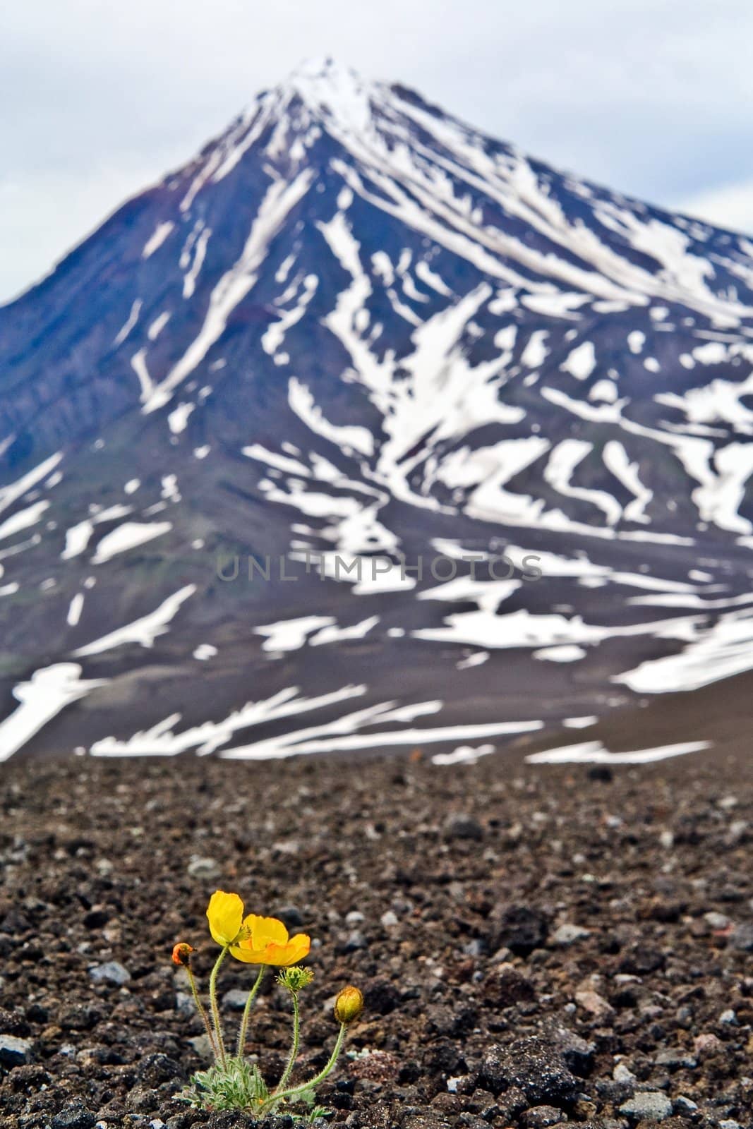 Vulcan Koryakskiy on the Kamchatka