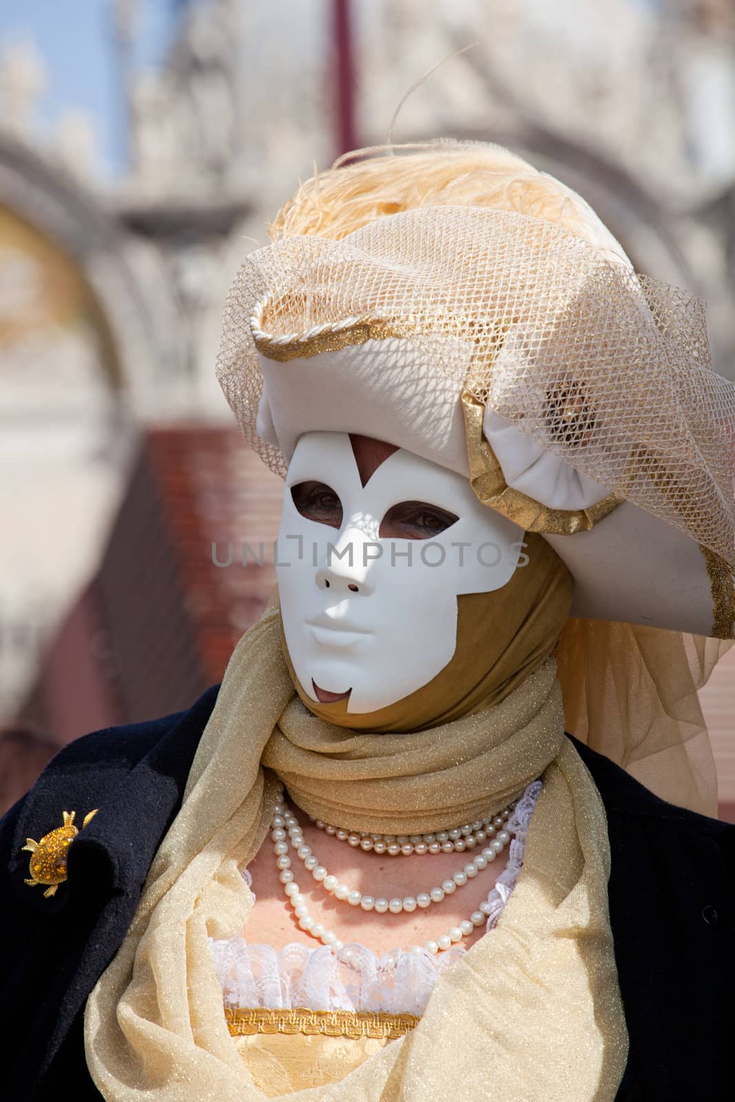 Mask in the Venice carnival