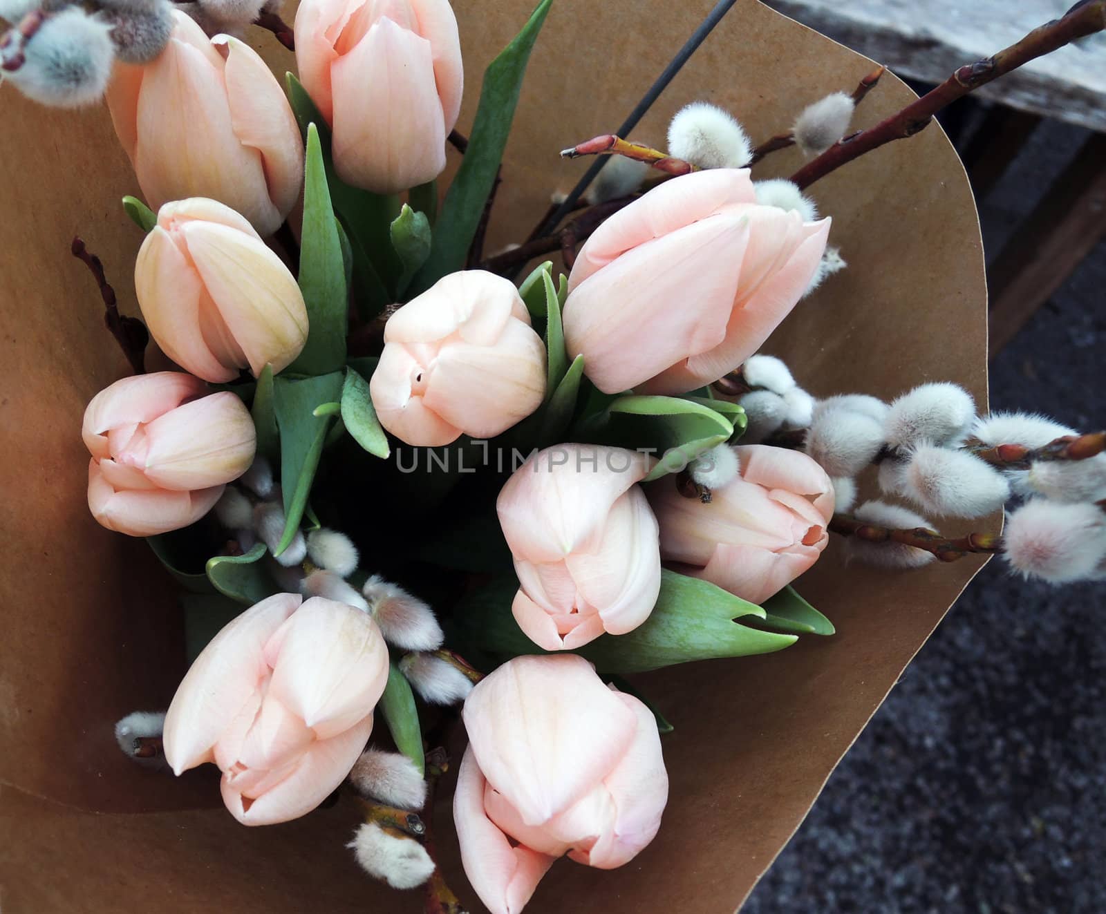  tulips bouquet  by MalyDesigner