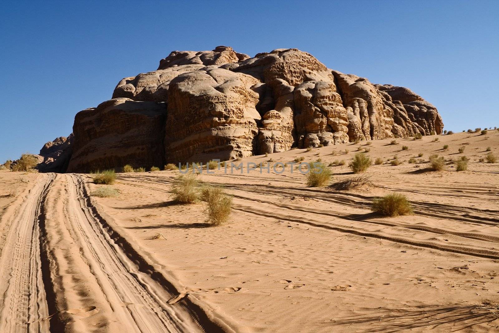 Desert Wadi Rum. Jordan by nikolpetr