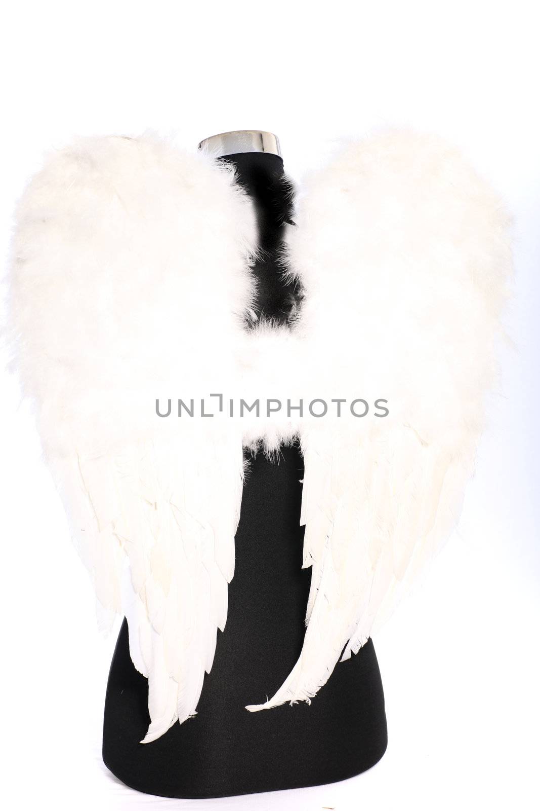 Modern angel with soft feathery white wings on a stylised black body torso isolated on white