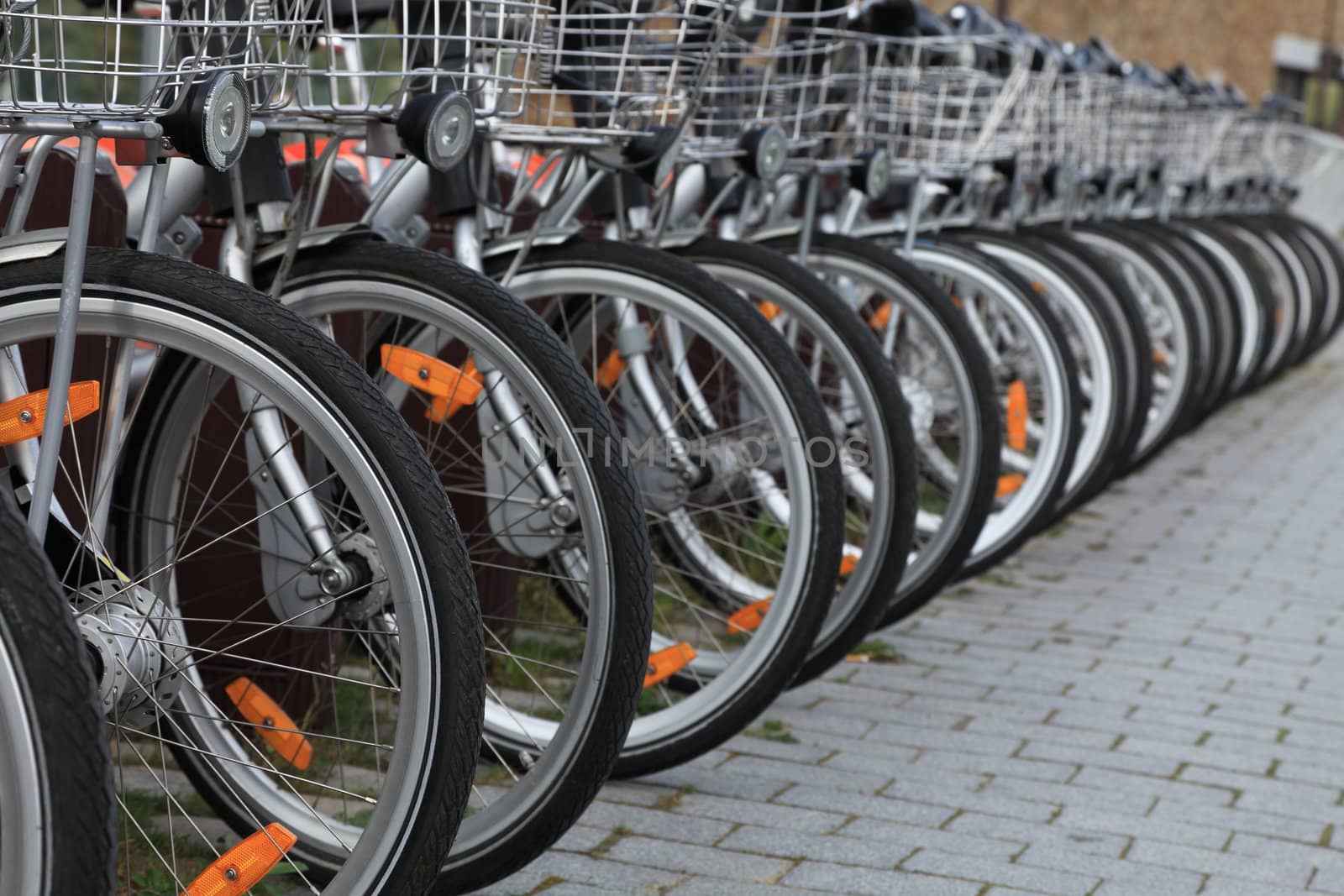 Row of city bicycles parked in a paved street.Selective focus on the first wheel.