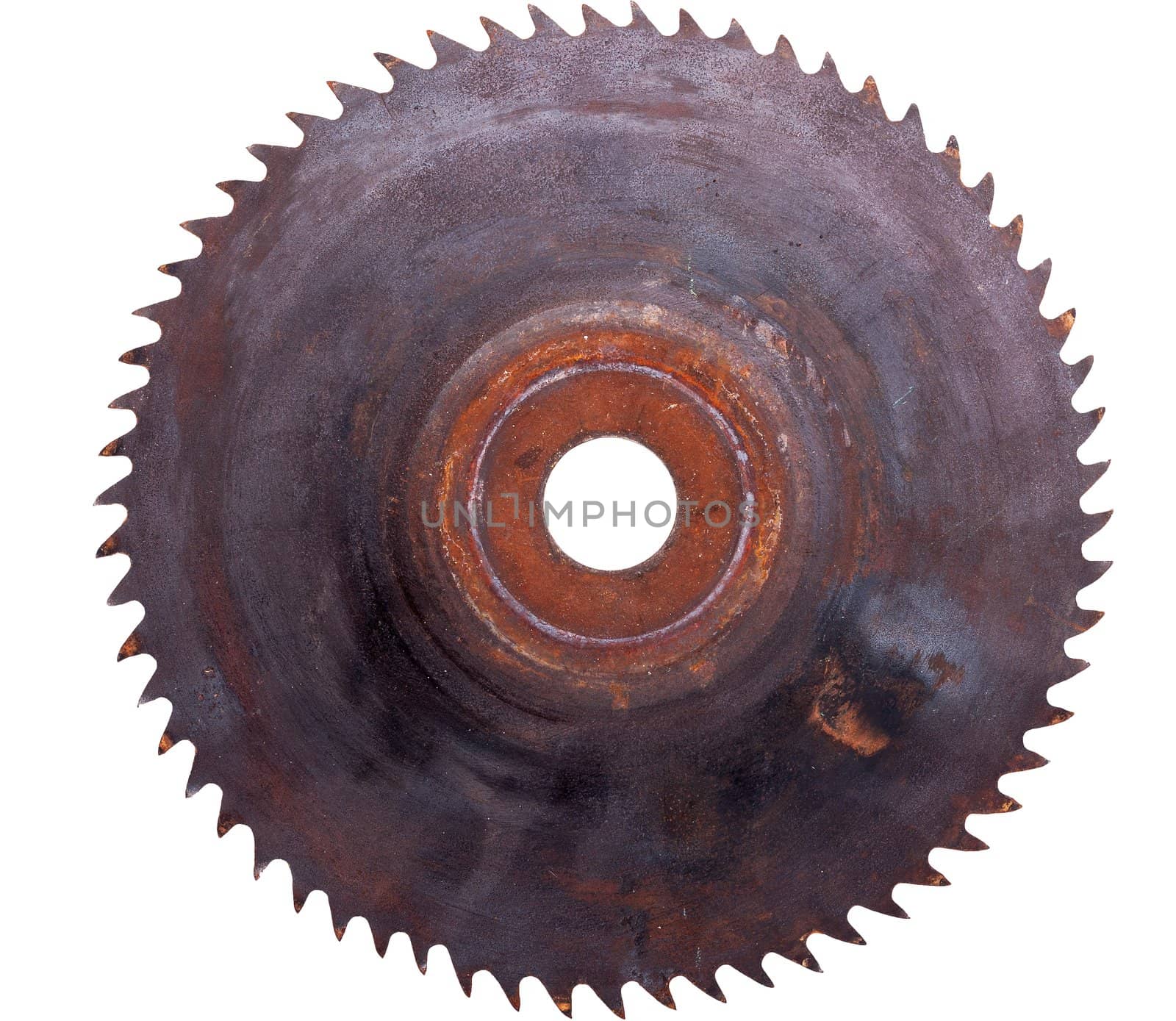 Old rusty circular Saw, isolated on white