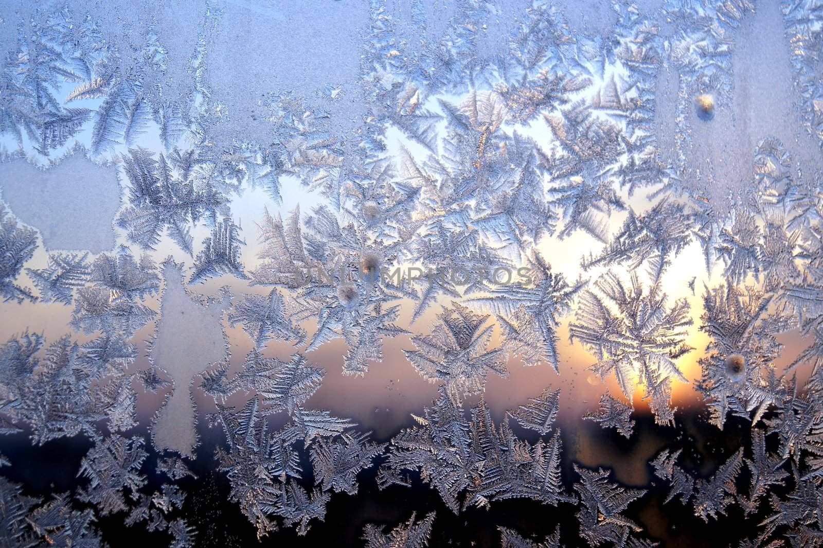 Ice pattern on window, winter sunset