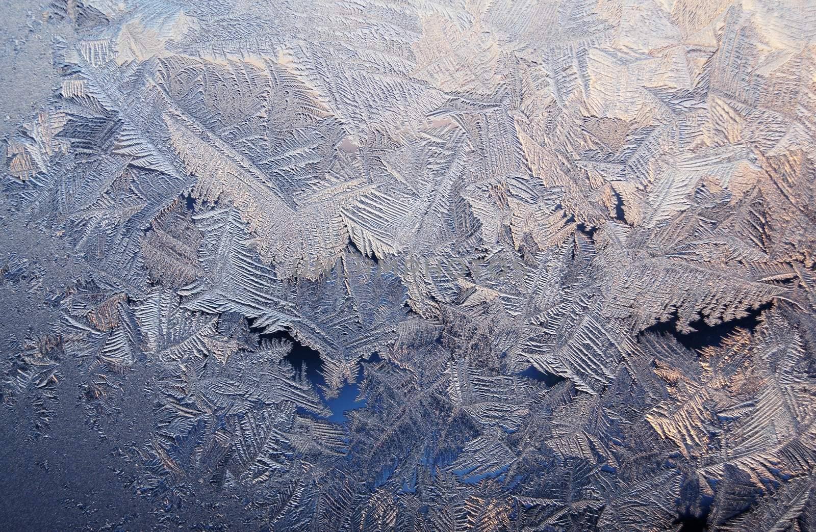 Ice pattern on window, winter sunset