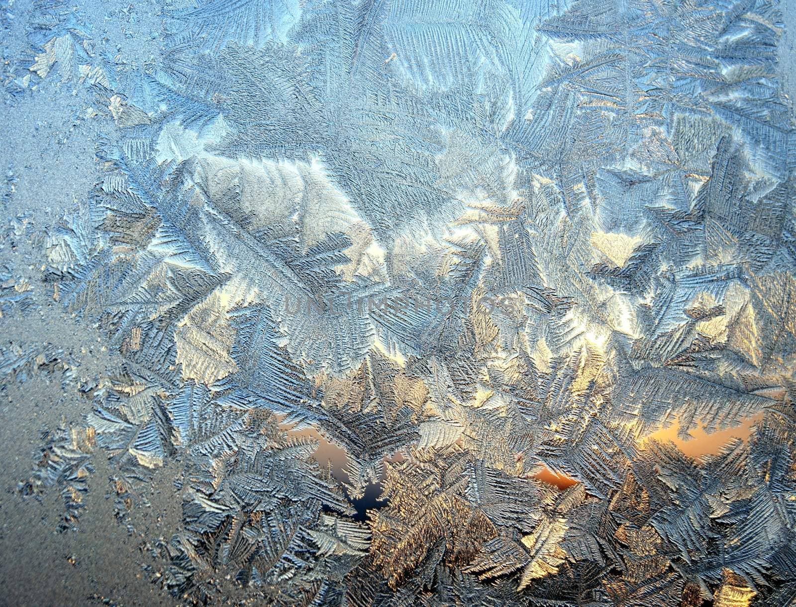 Ice pattern on window, winter sunset