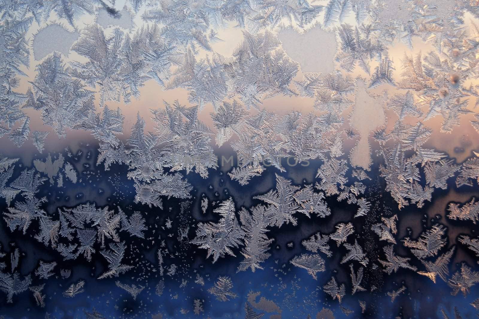 Ice pattern on window, winter sunset